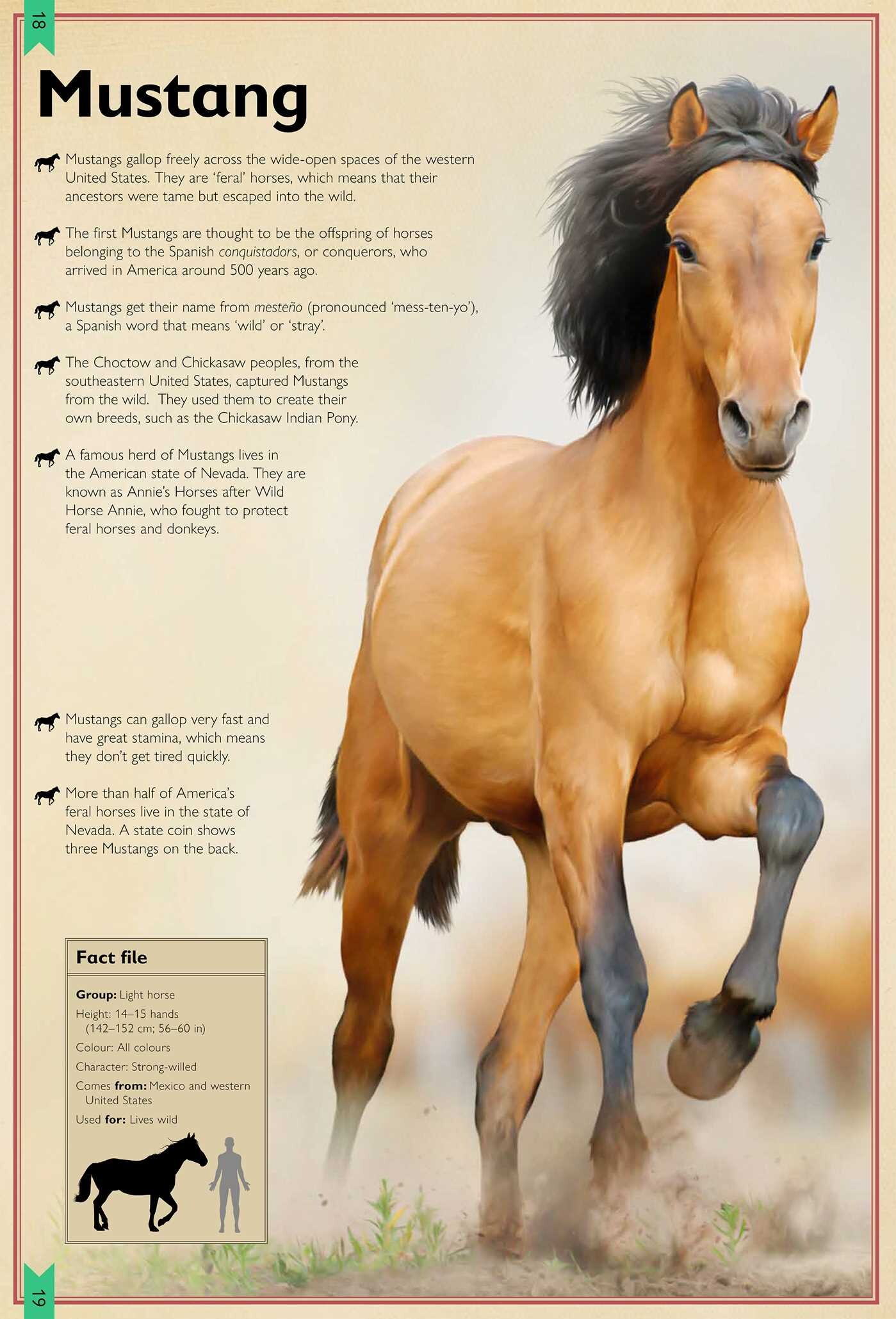 Magnificent Book of Horses
