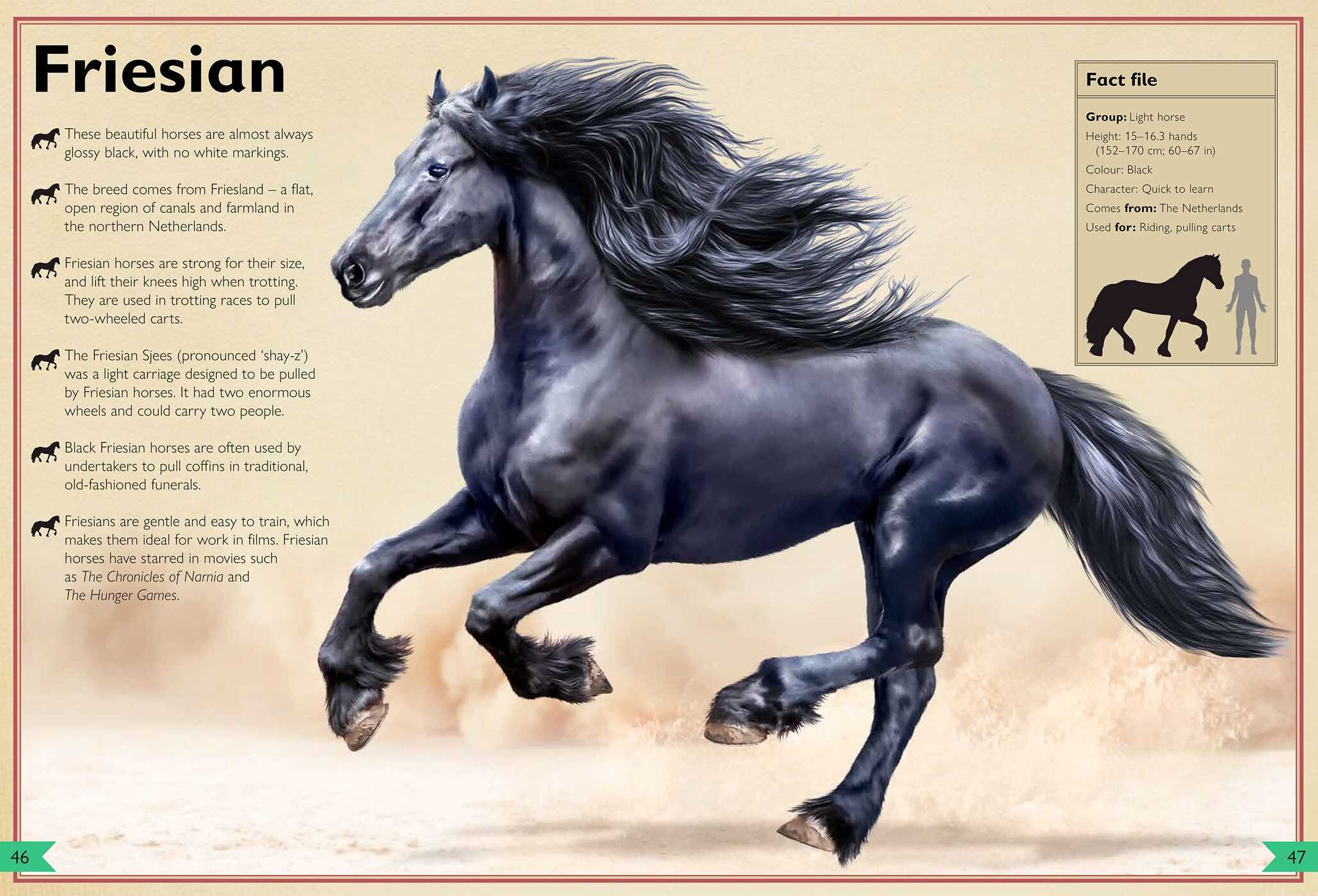 Magnificent Book of Horses