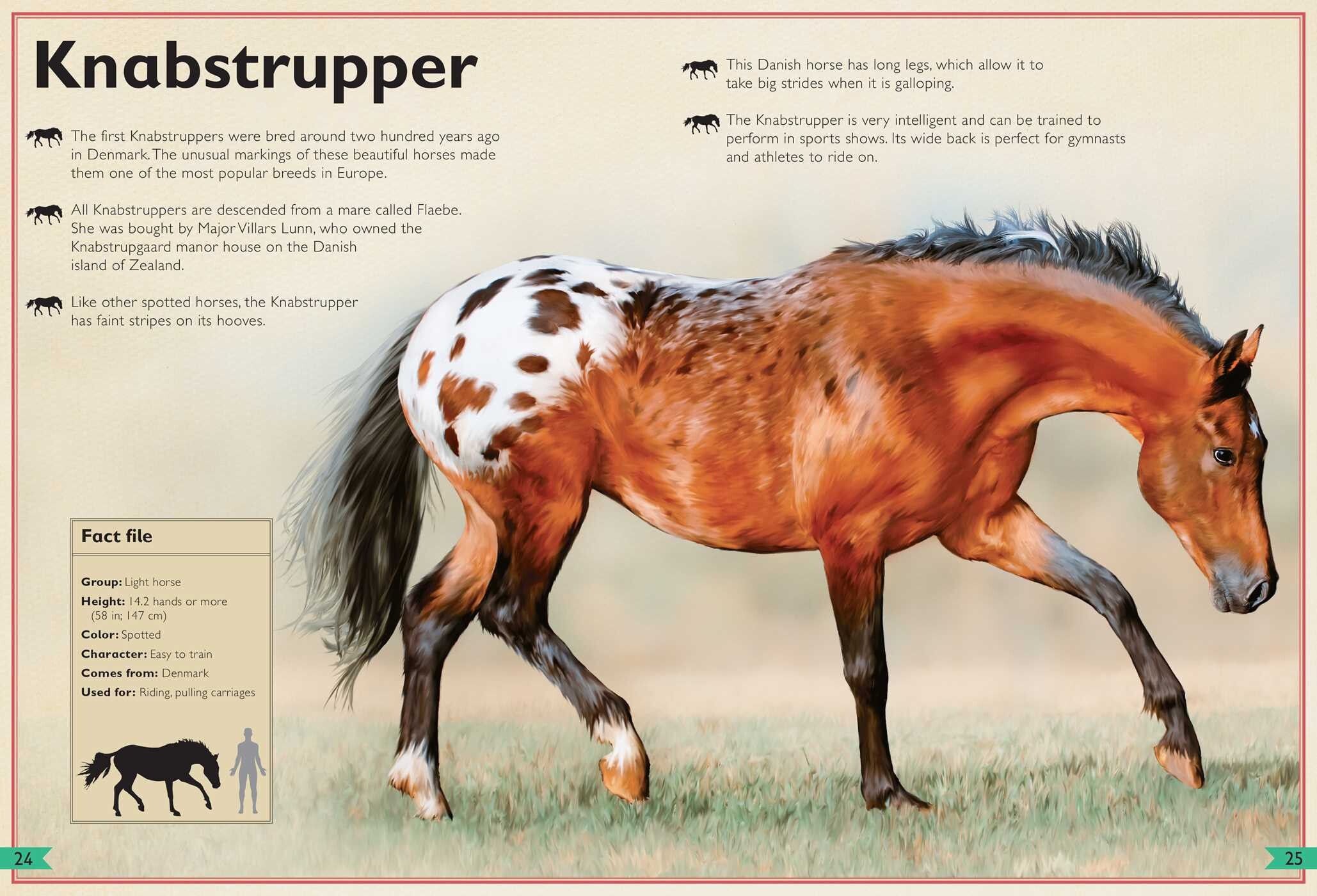 Magnificent Book of Horses