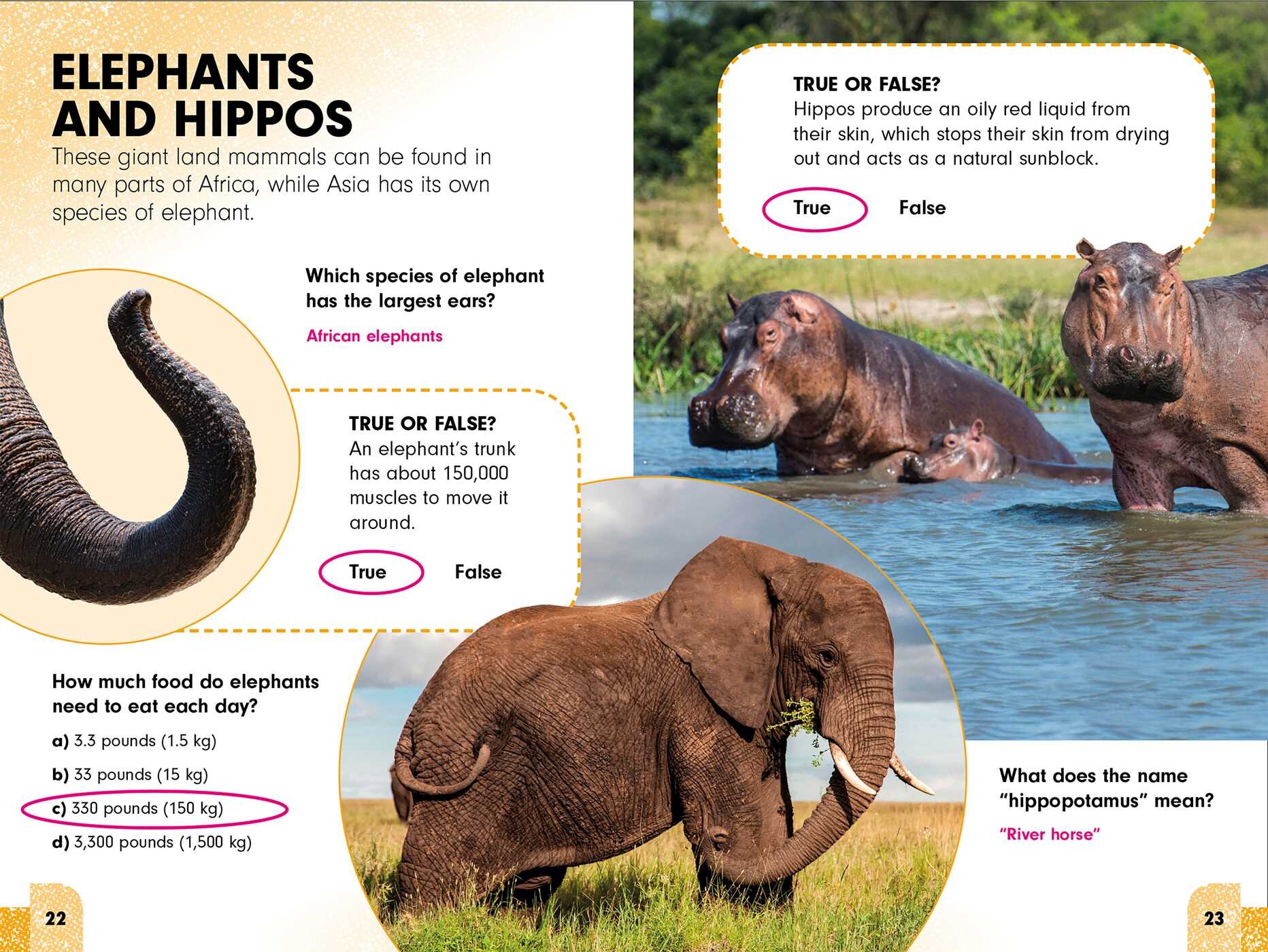 Sneaky Facts: Animal Kingdom