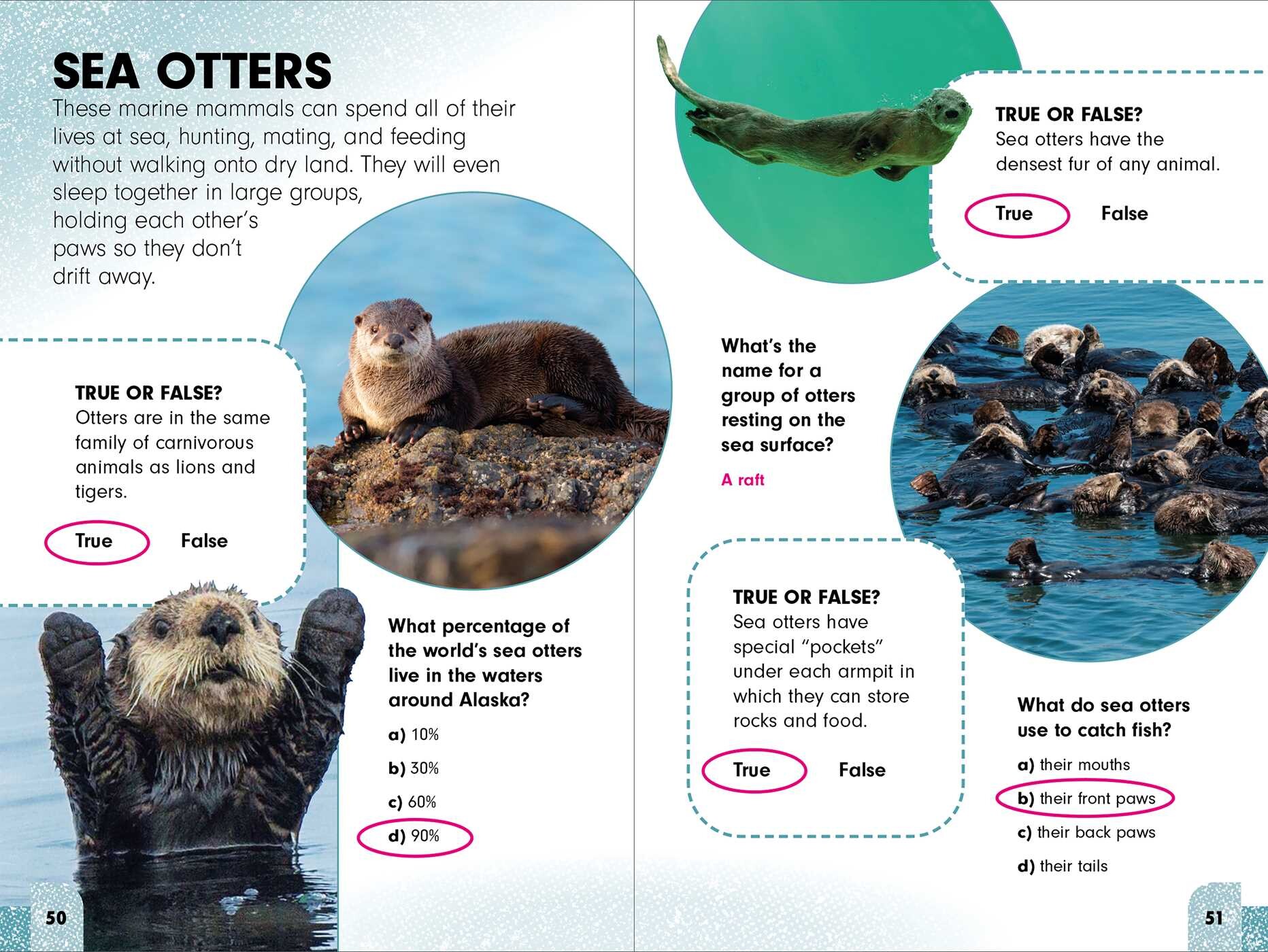 Sneaky Facts: Animal Kingdom