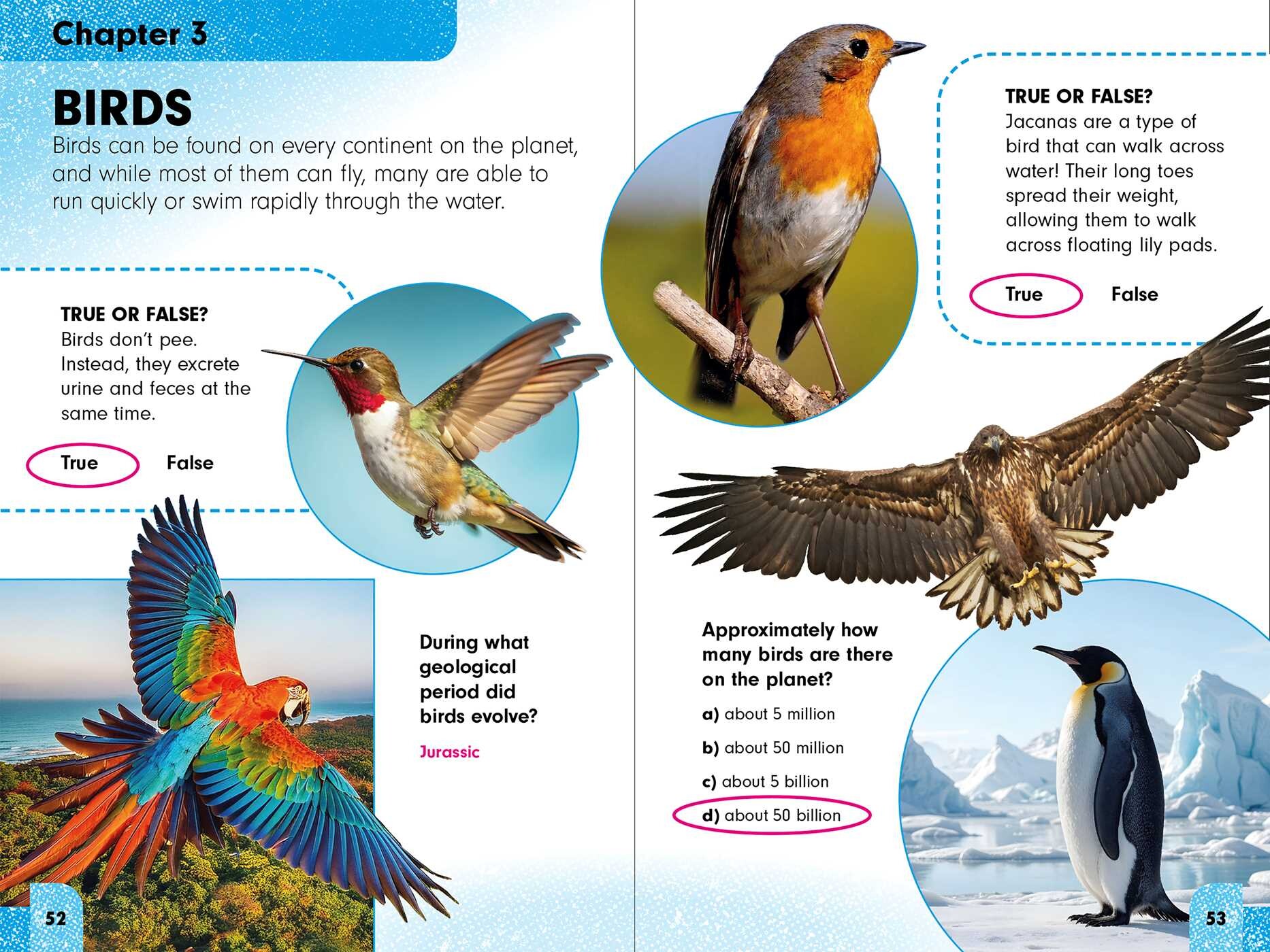 Sneaky Facts: Animal Kingdom