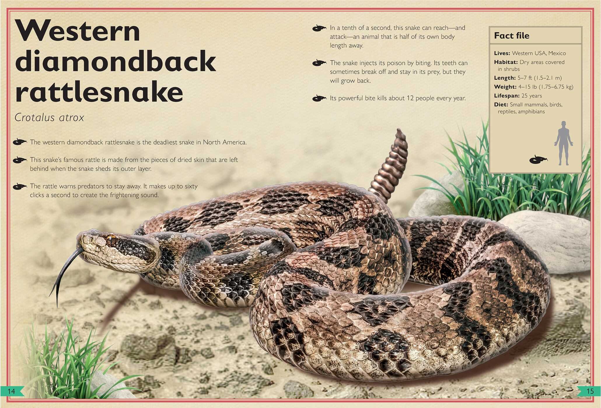 Magnificent Book of Dangerous Animals
