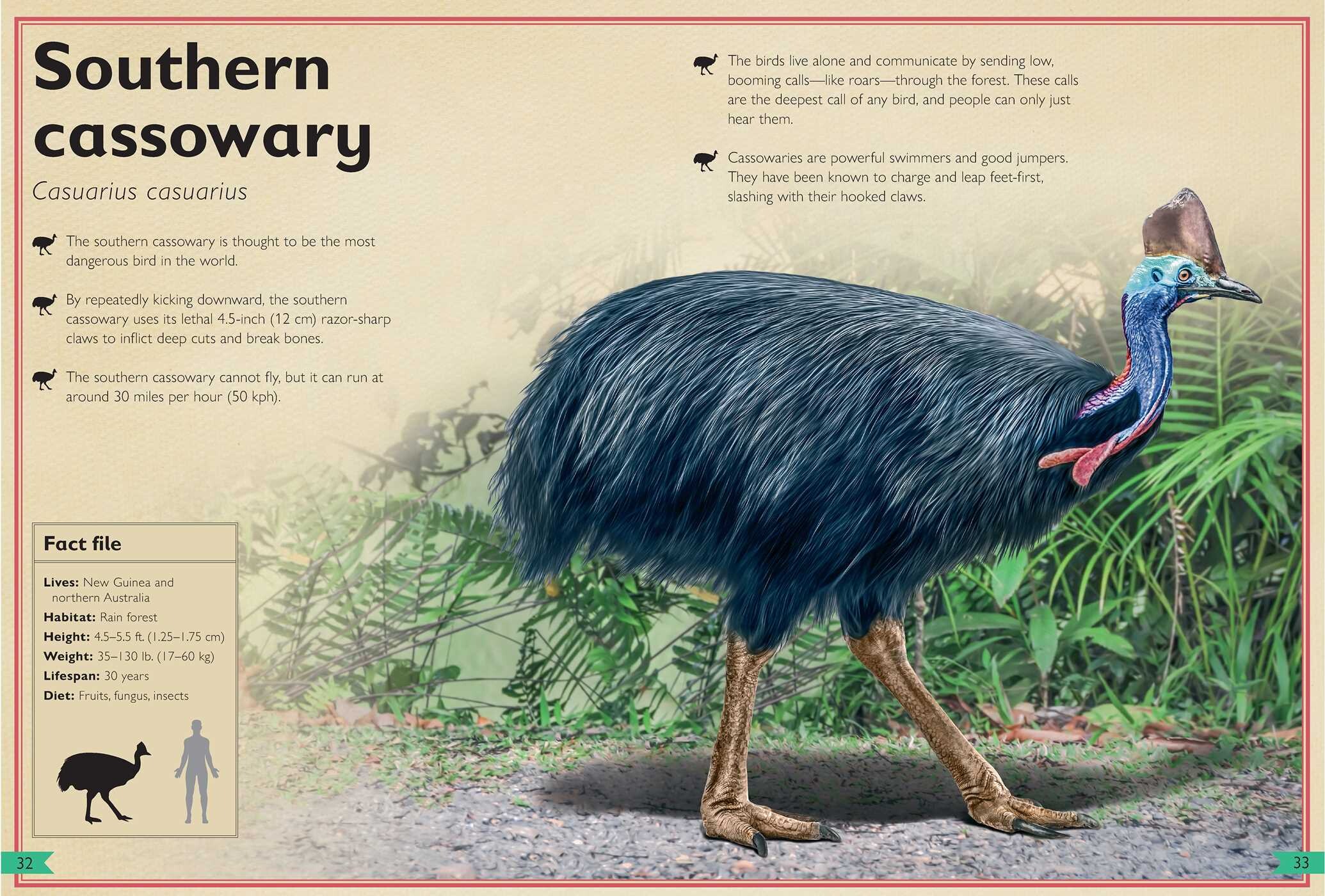 Magnificent Book of Dangerous Animals