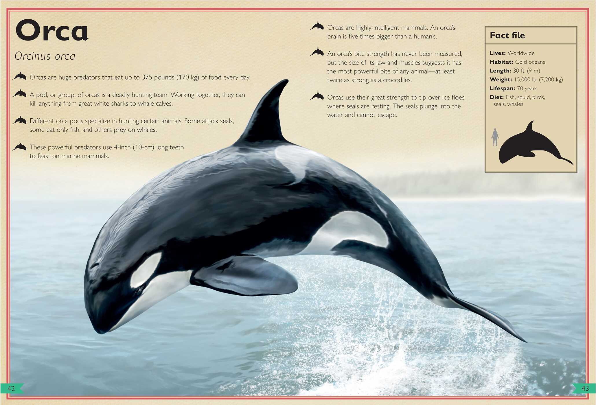 Magnificent Book of Dangerous Animals