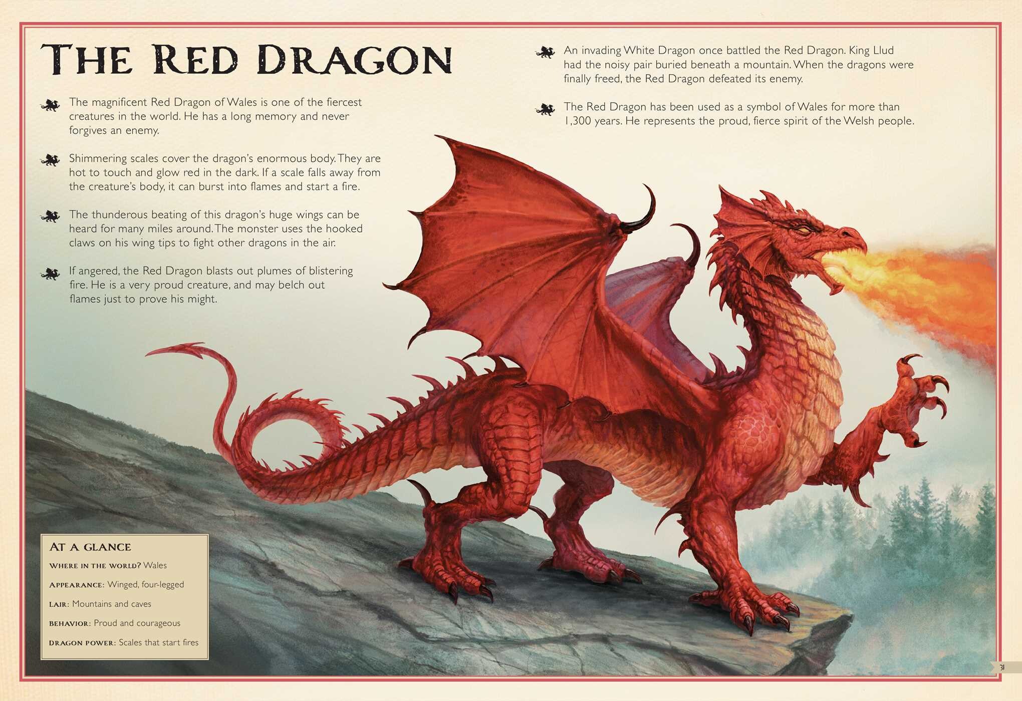 Magnificent Book of Dragons