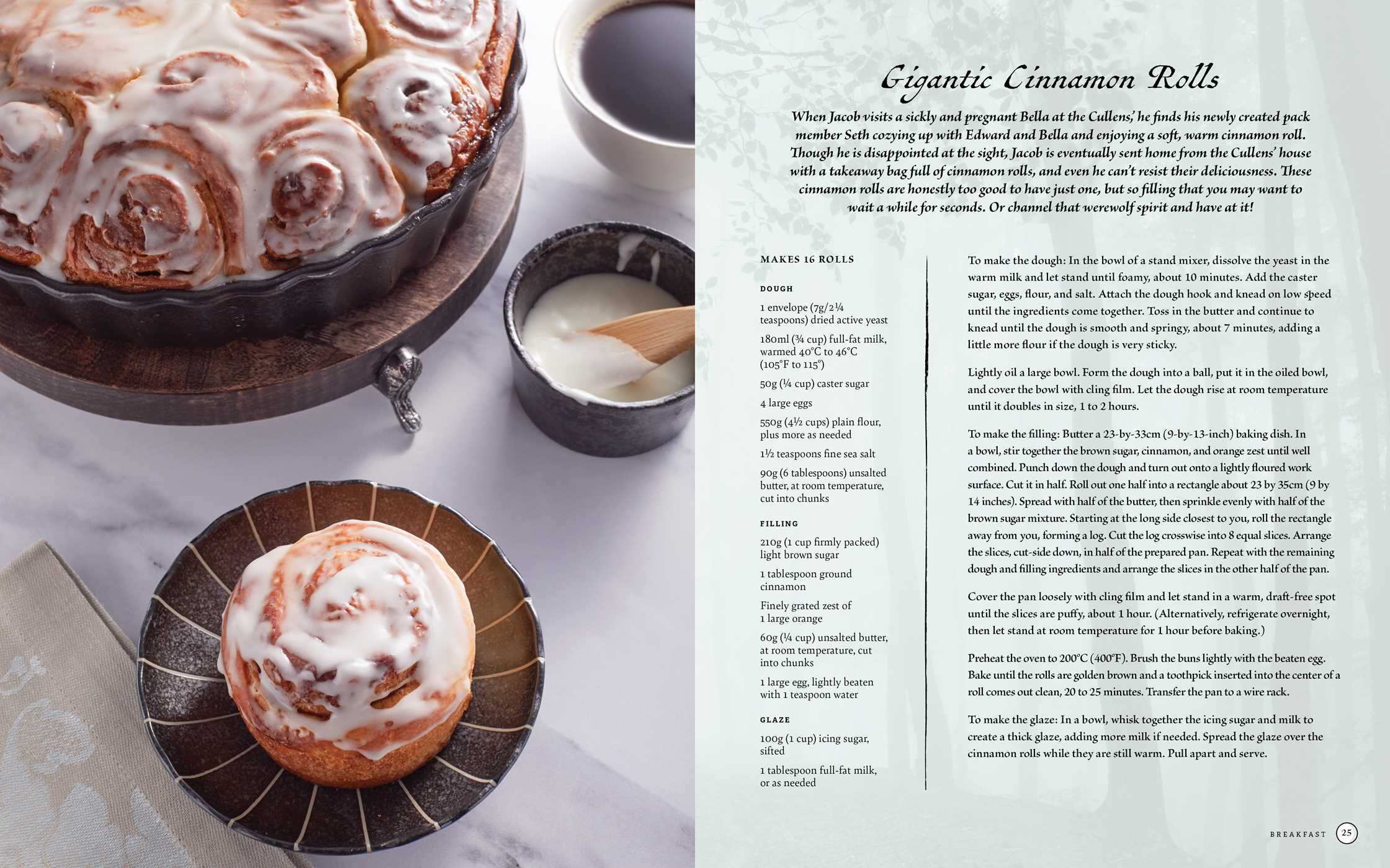 Unofficial Twilight Saga Cookbook [UK Edition]