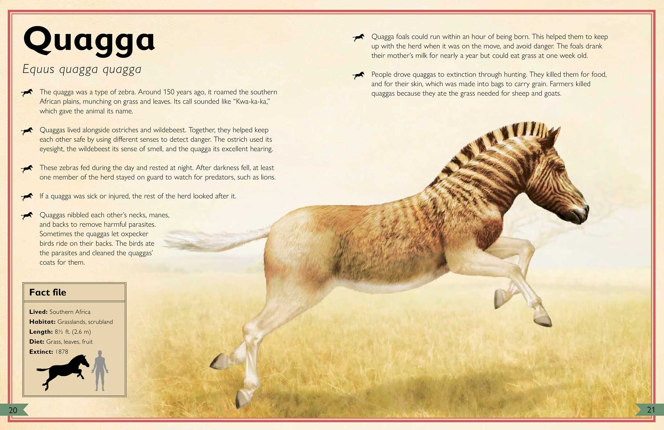 Magnificent Book of Extinct Animals