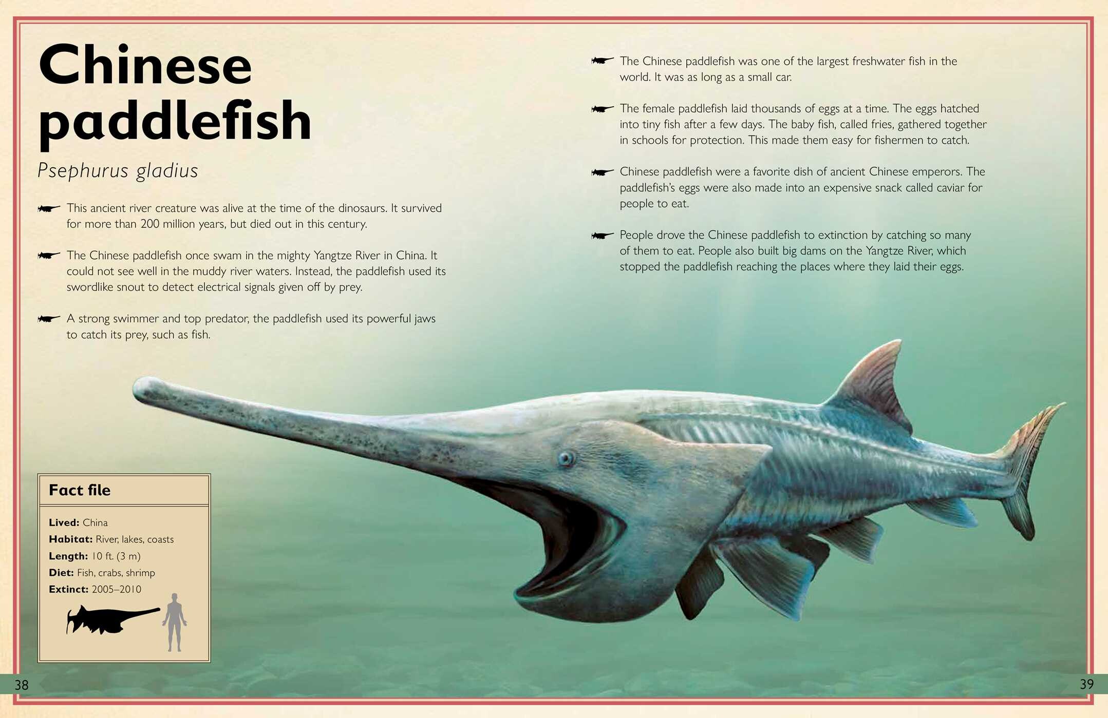 Magnificent Book of Extinct Animals