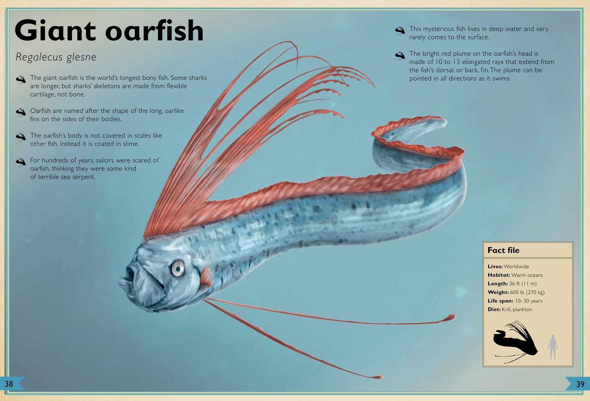 Magnificent Book of Ocean Creatures