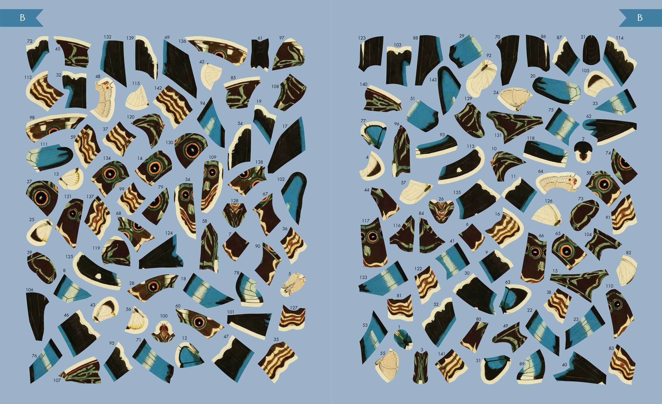 Museum Mosaics: Butterflies of the Smithsonian