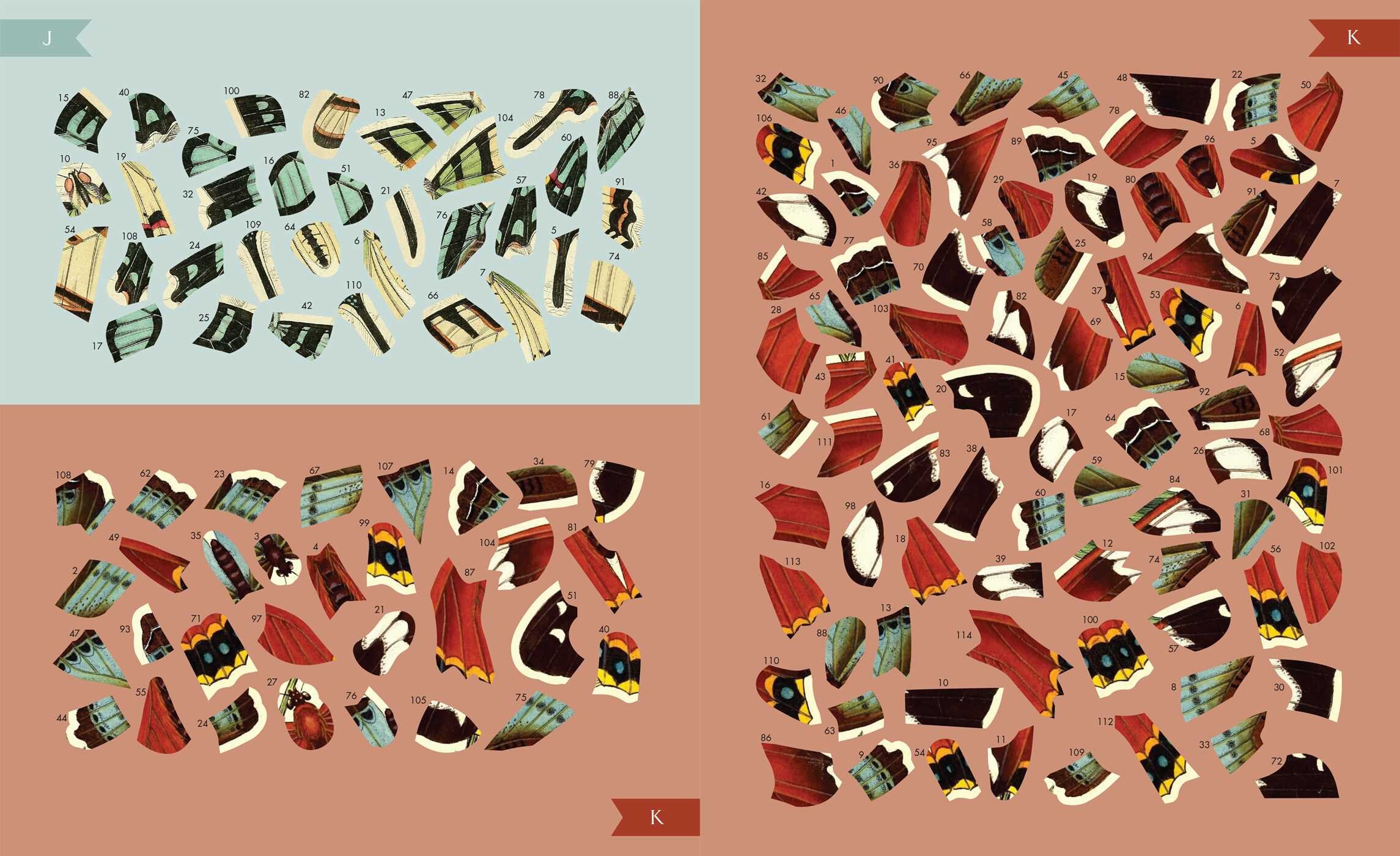 Museum Mosaics: Butterflies of the Smithsonian