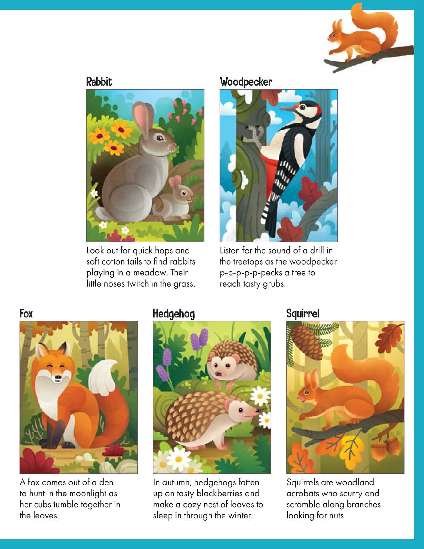 Sticker by Number: Woodland Animals