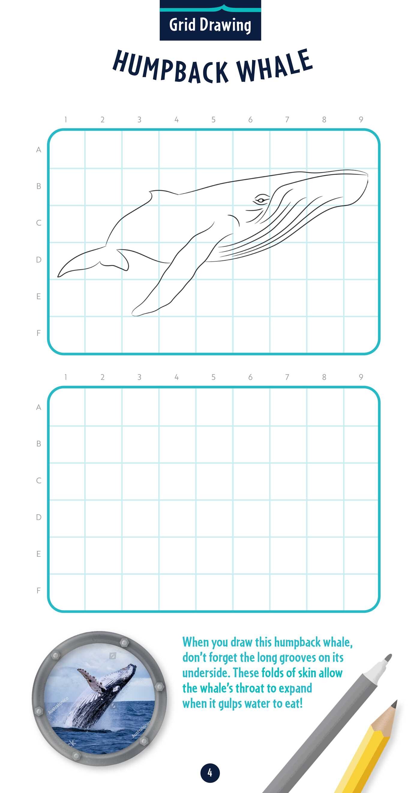 Undersea Explorer Activity Pack