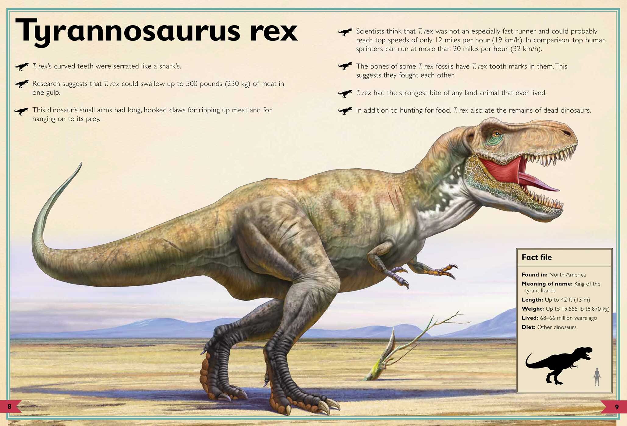Magnificent Book of Dinosaurs and Other Prehistoric Creatures