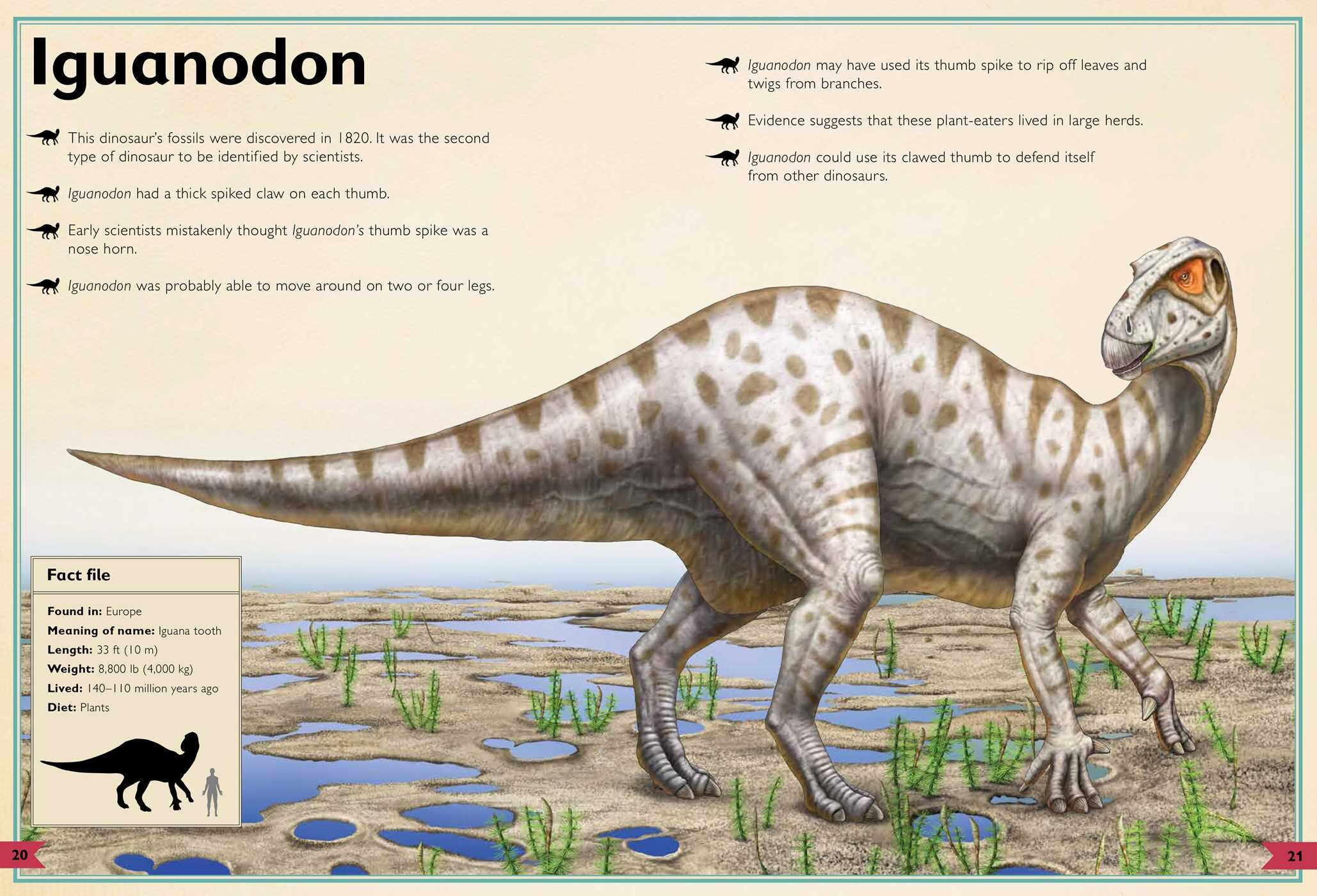 Magnificent Book of Dinosaurs and Other Prehistoric Creatures