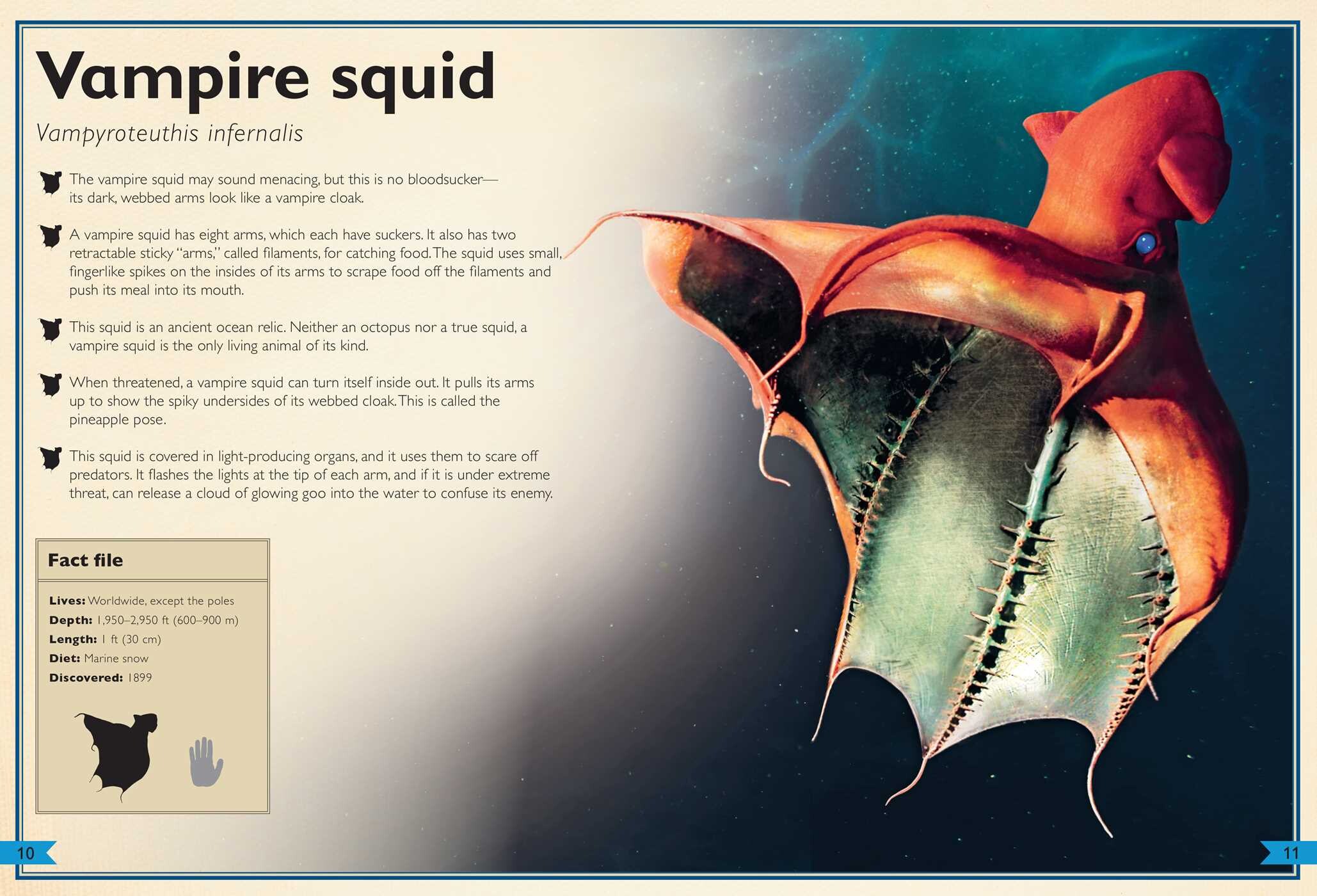 Magnificent Book of Creatures of the Abyss