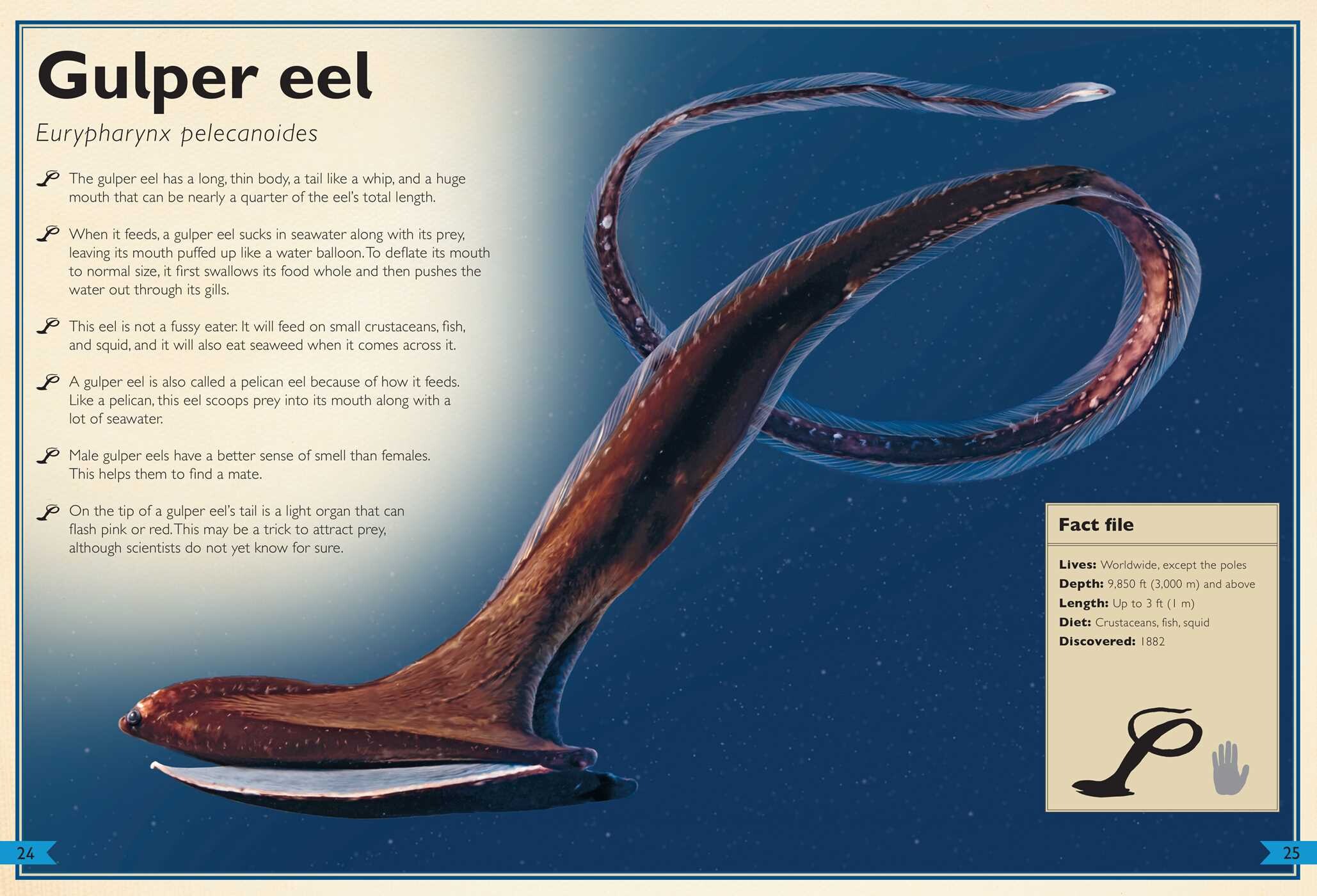 Magnificent Book of Creatures of the Abyss
