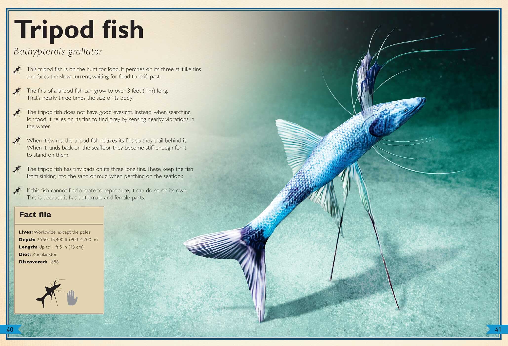 Magnificent Book of Creatures of the Abyss