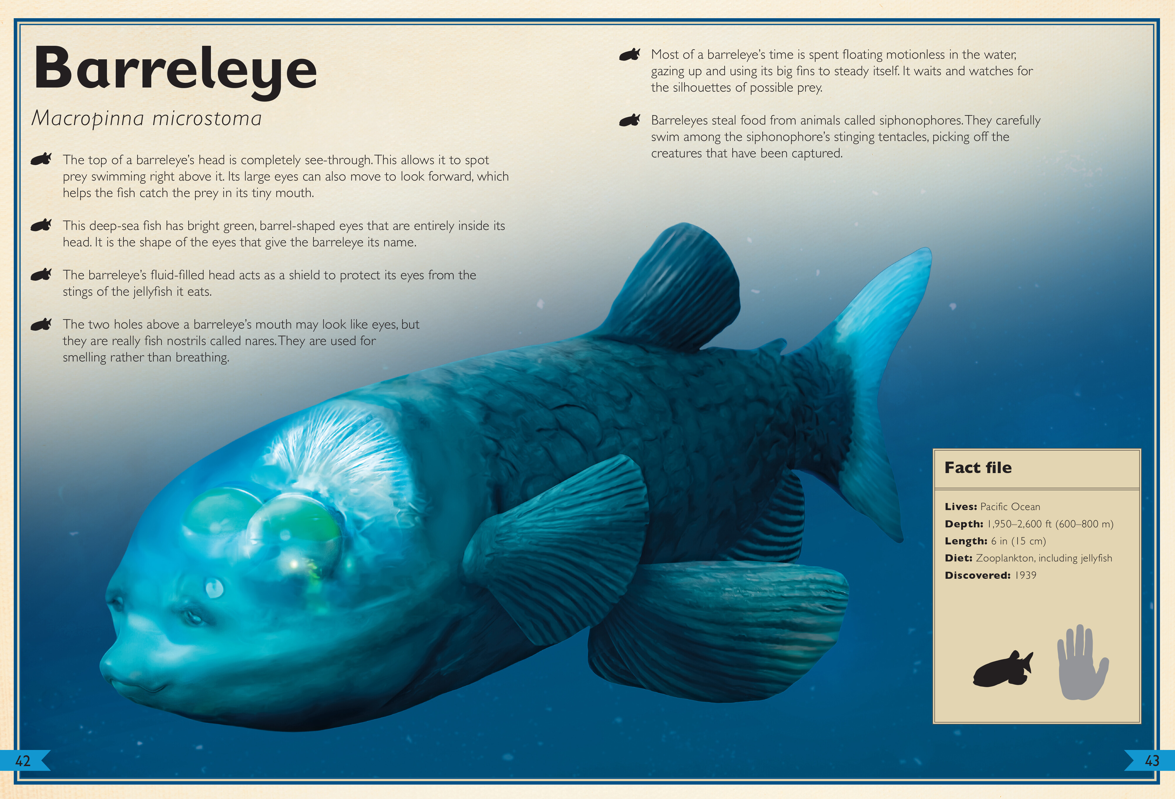 Magnificent Book of Creatures of the Abyss