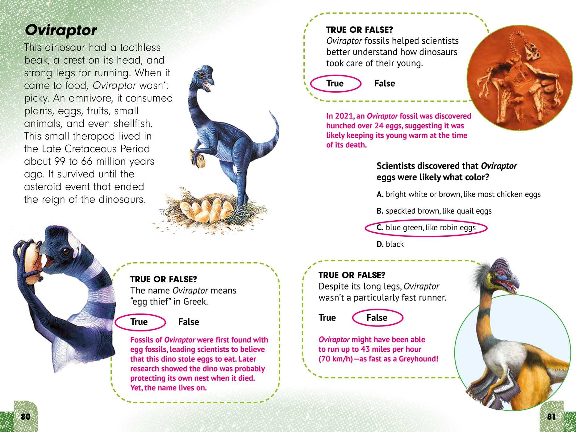 Sneaky Facts: Dinosaurs