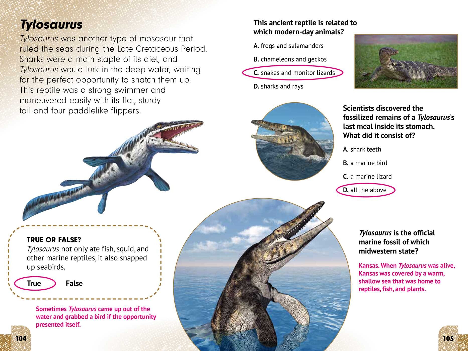 Sneaky Facts: Dinosaurs