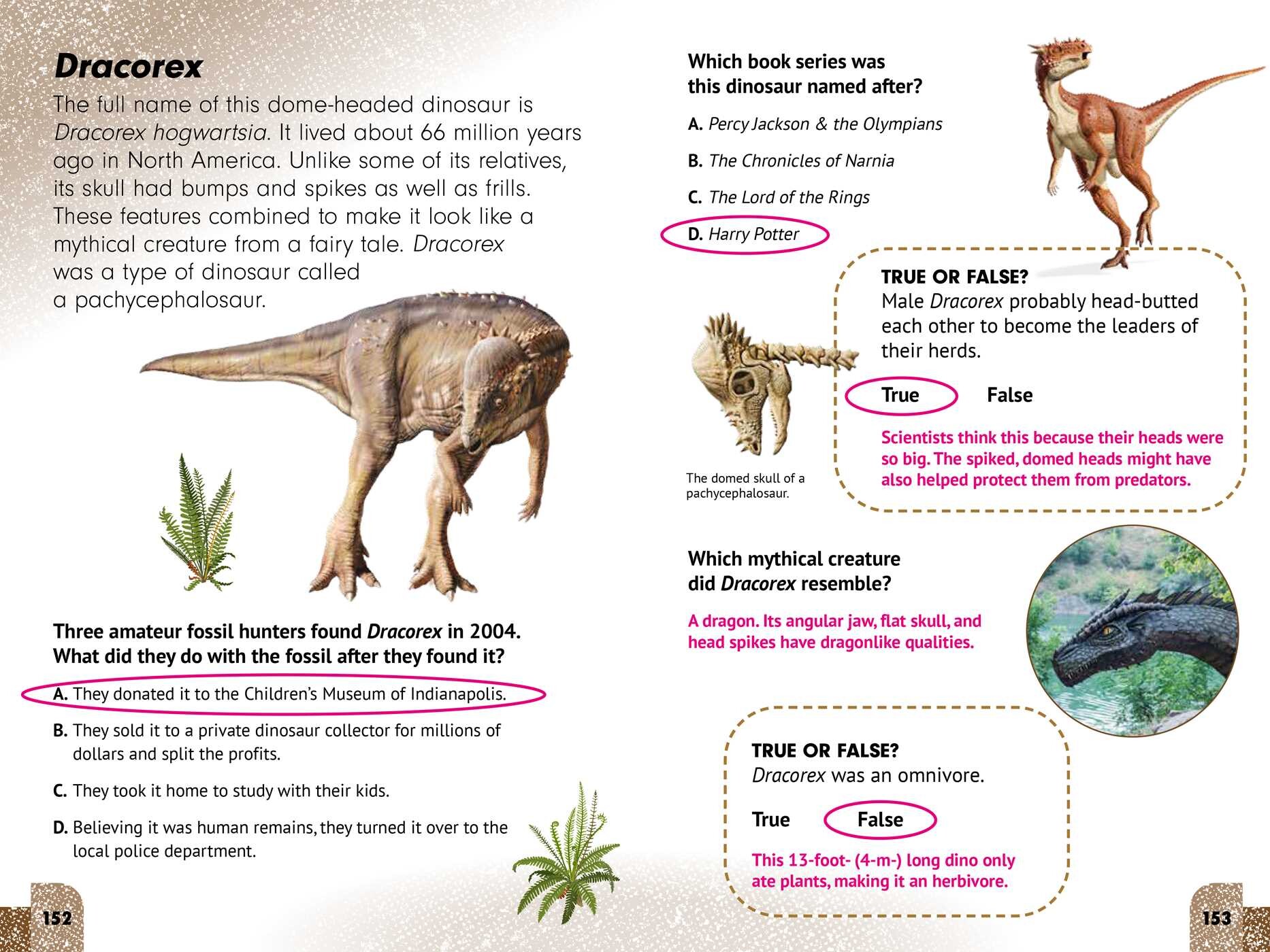 Sneaky Facts: Dinosaurs