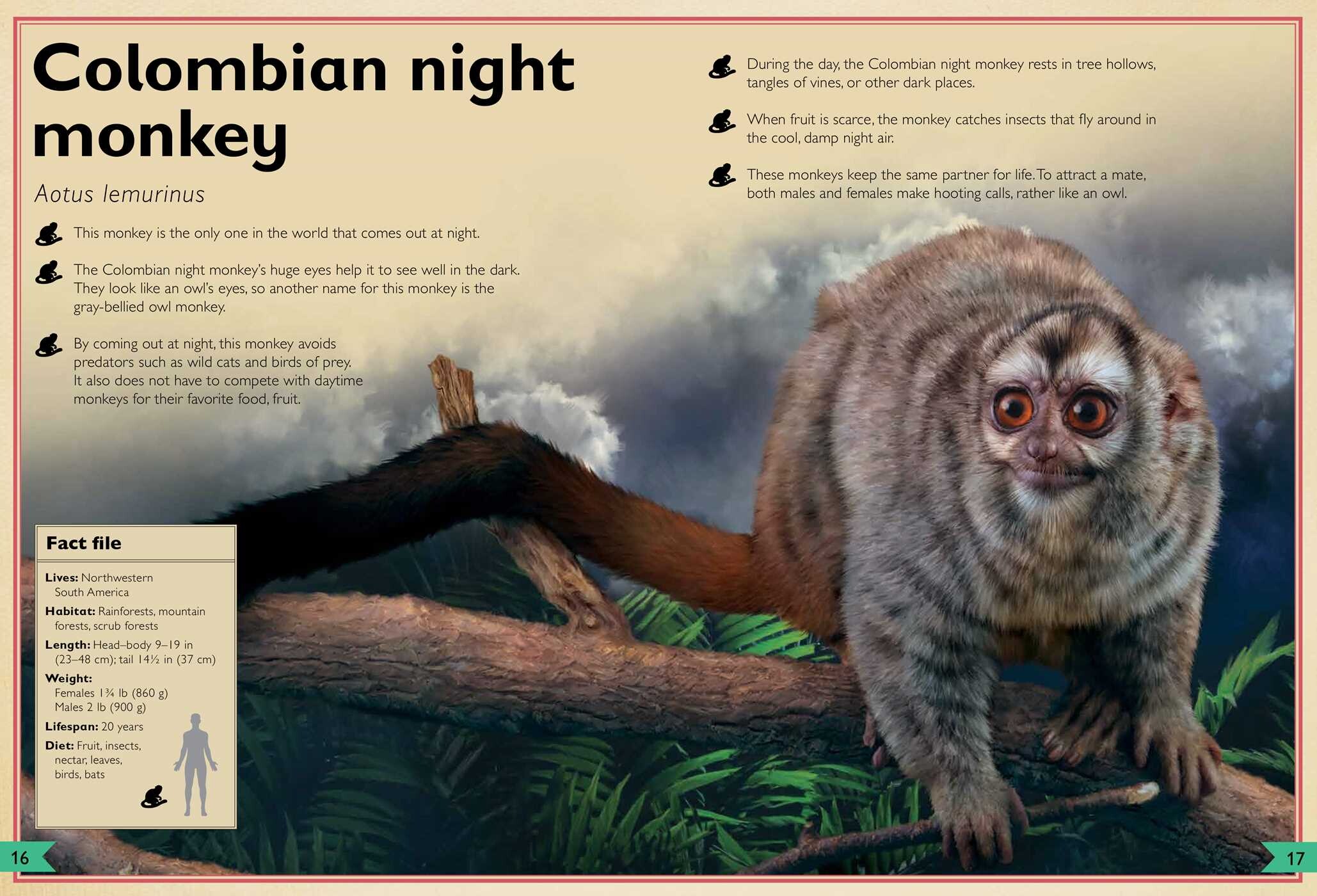 Magnificent Book of Monkeys and Apes