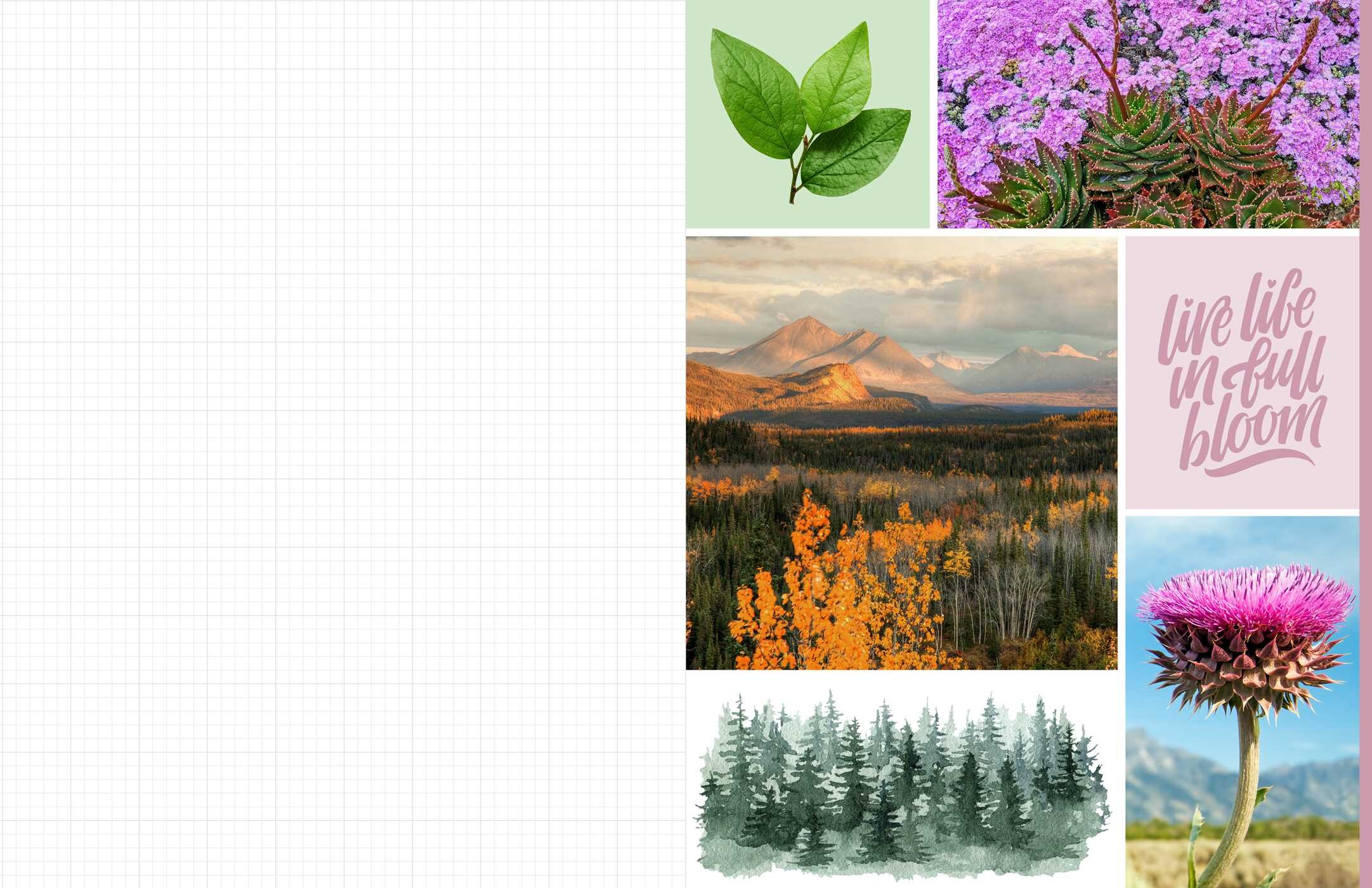 Cut & Collage National Parks