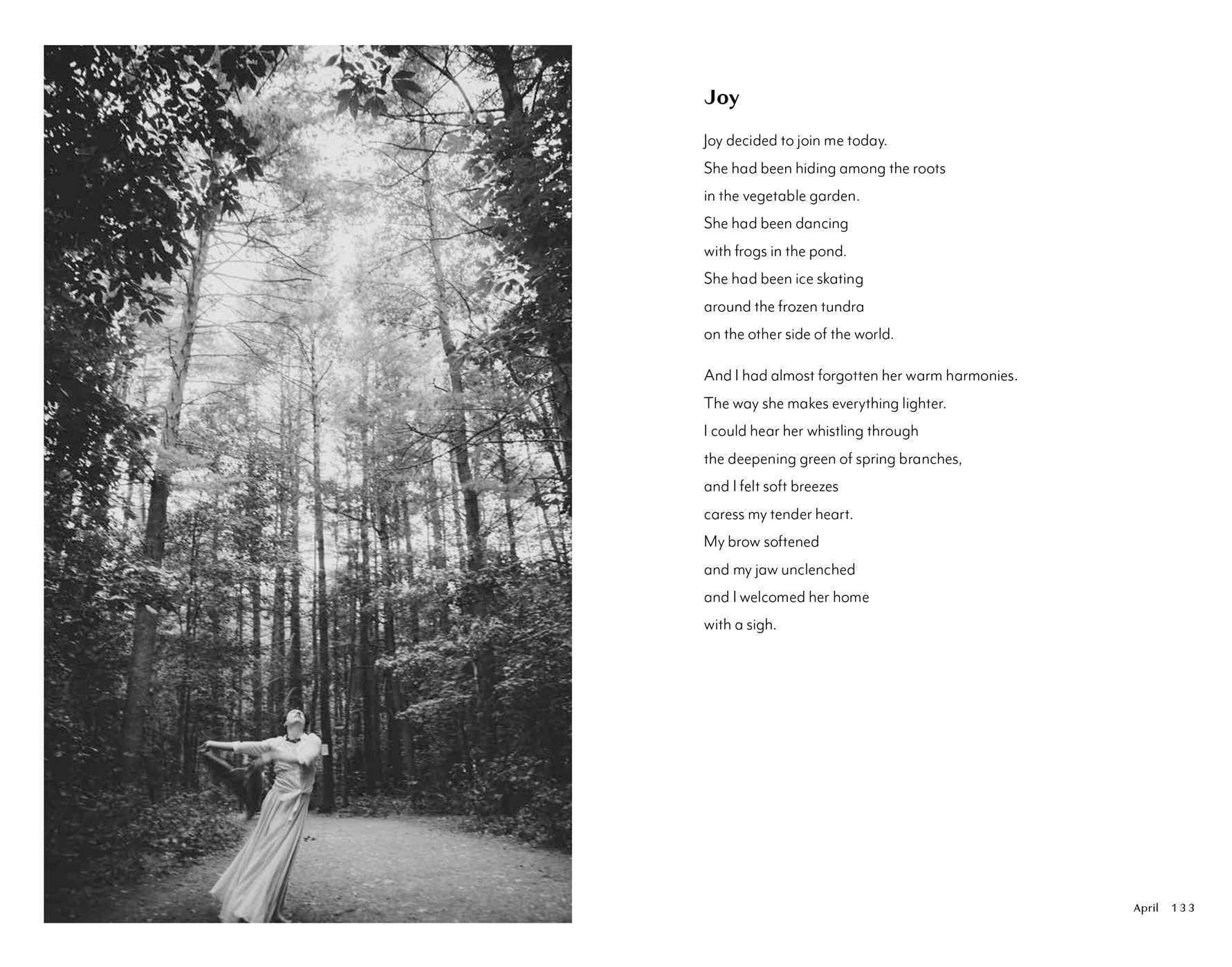 Quietly Wild