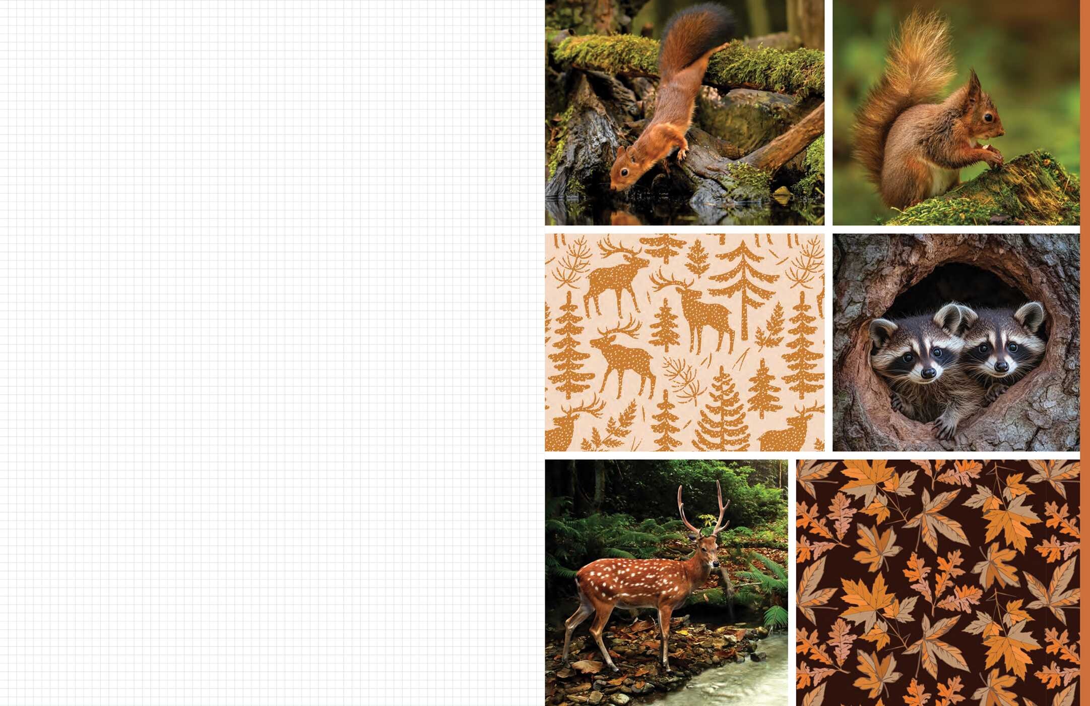 Cut & Collage Woodland Creatures