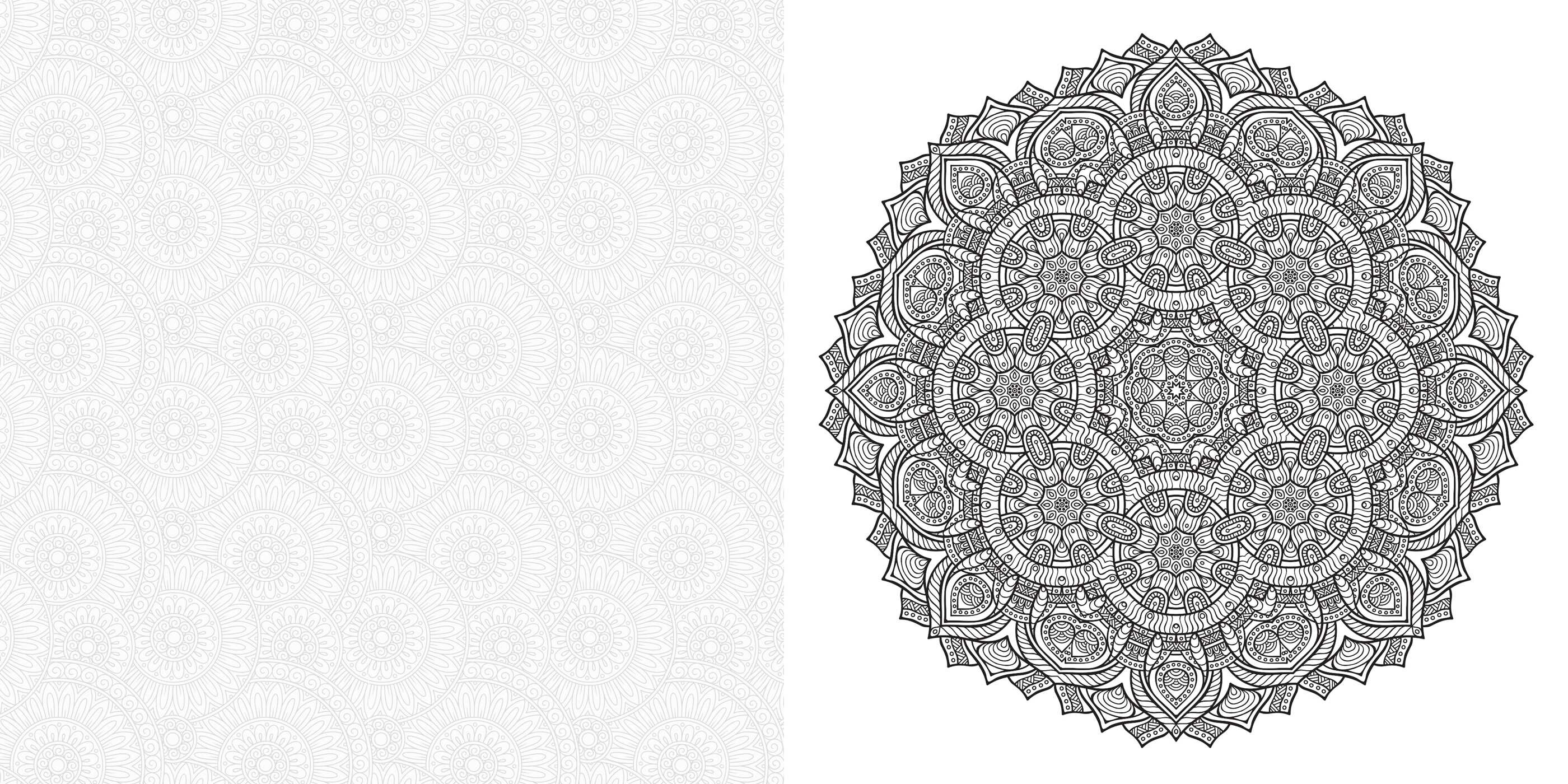 100 Meditative Designs: Mandalas