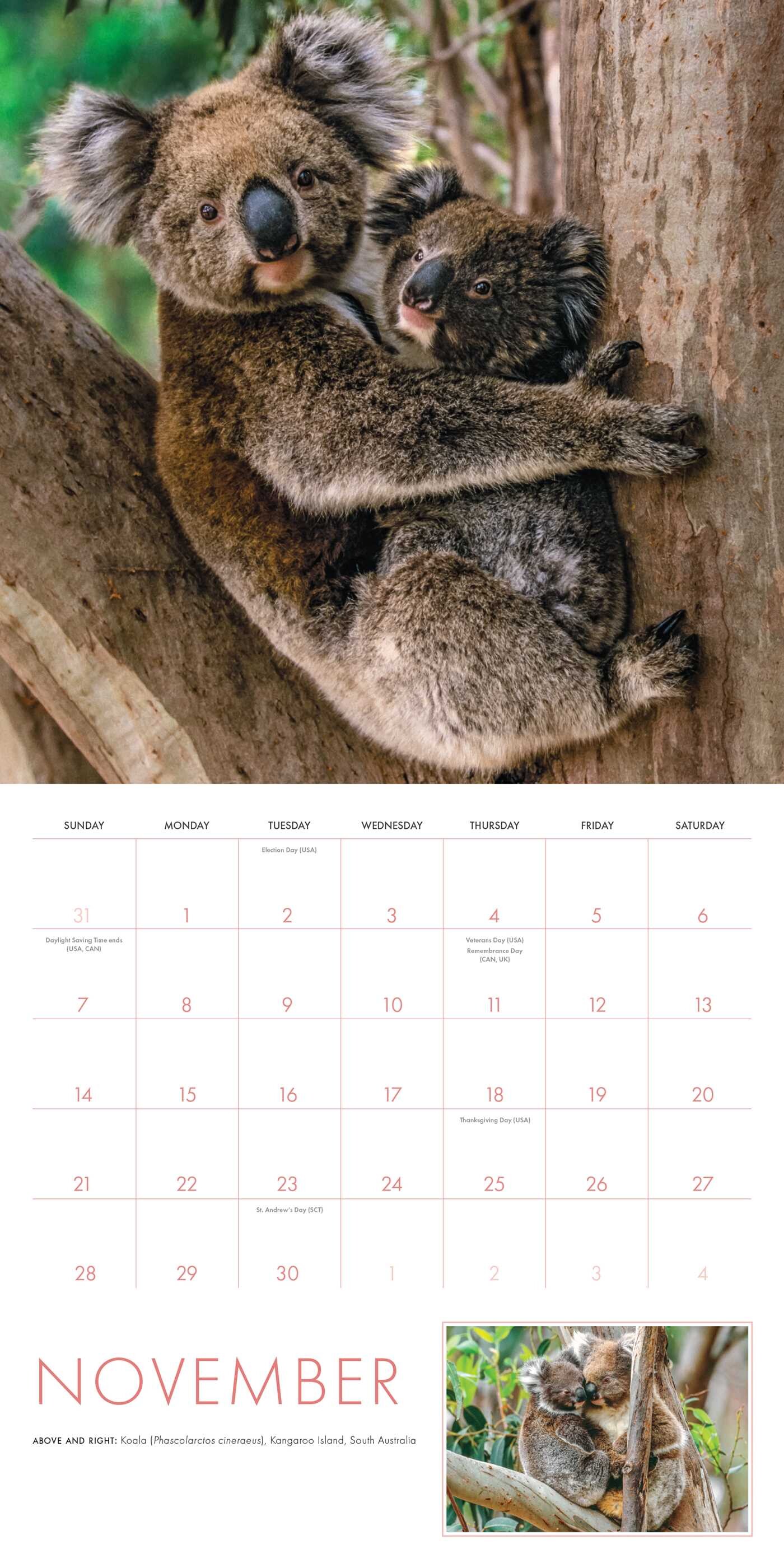 2027 Baby Animals Wall Calendar