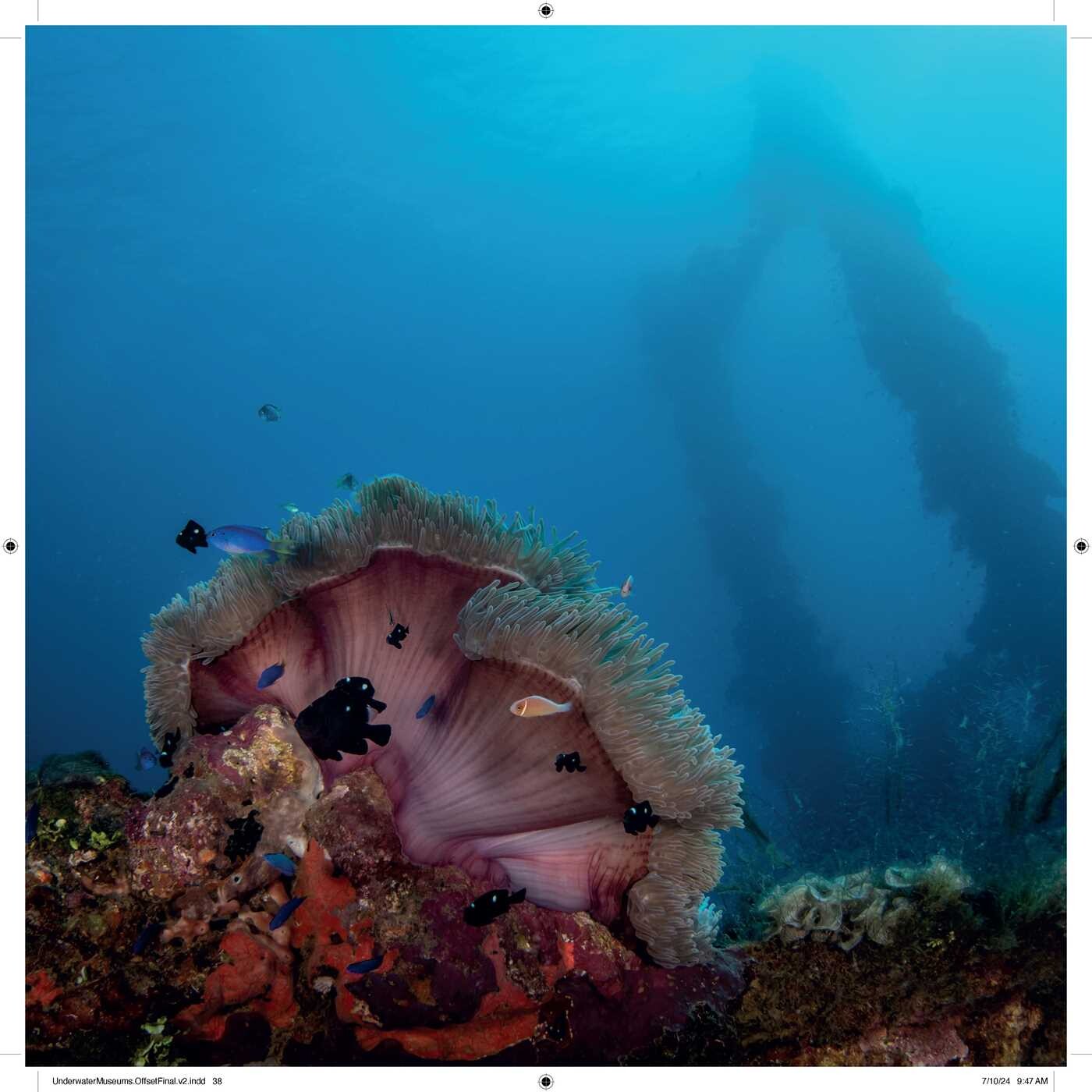 Underwater Museums