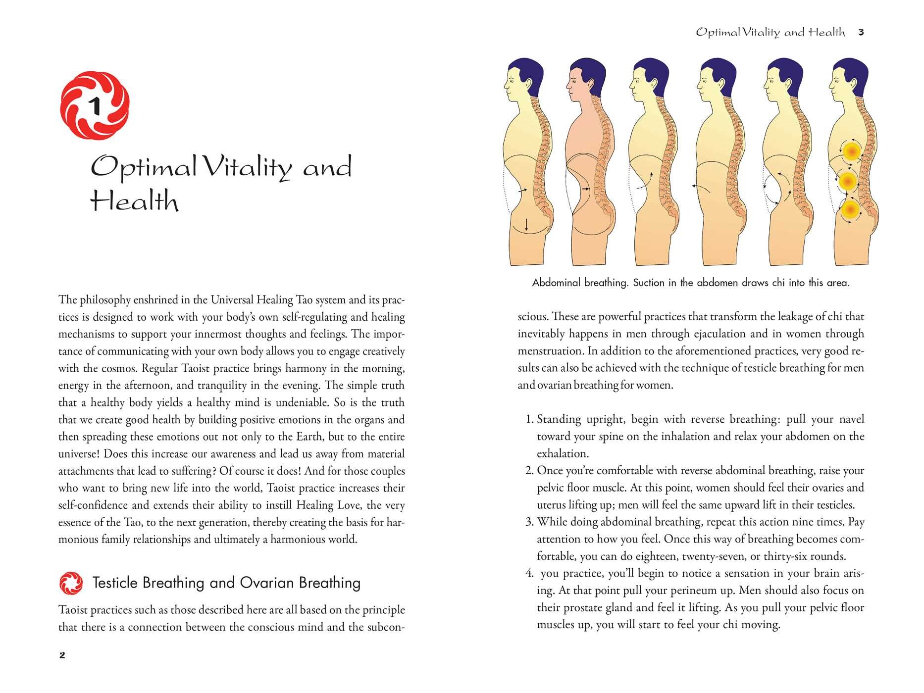 Taoist Secrets of Pregnancy, Birth, and Healing Love