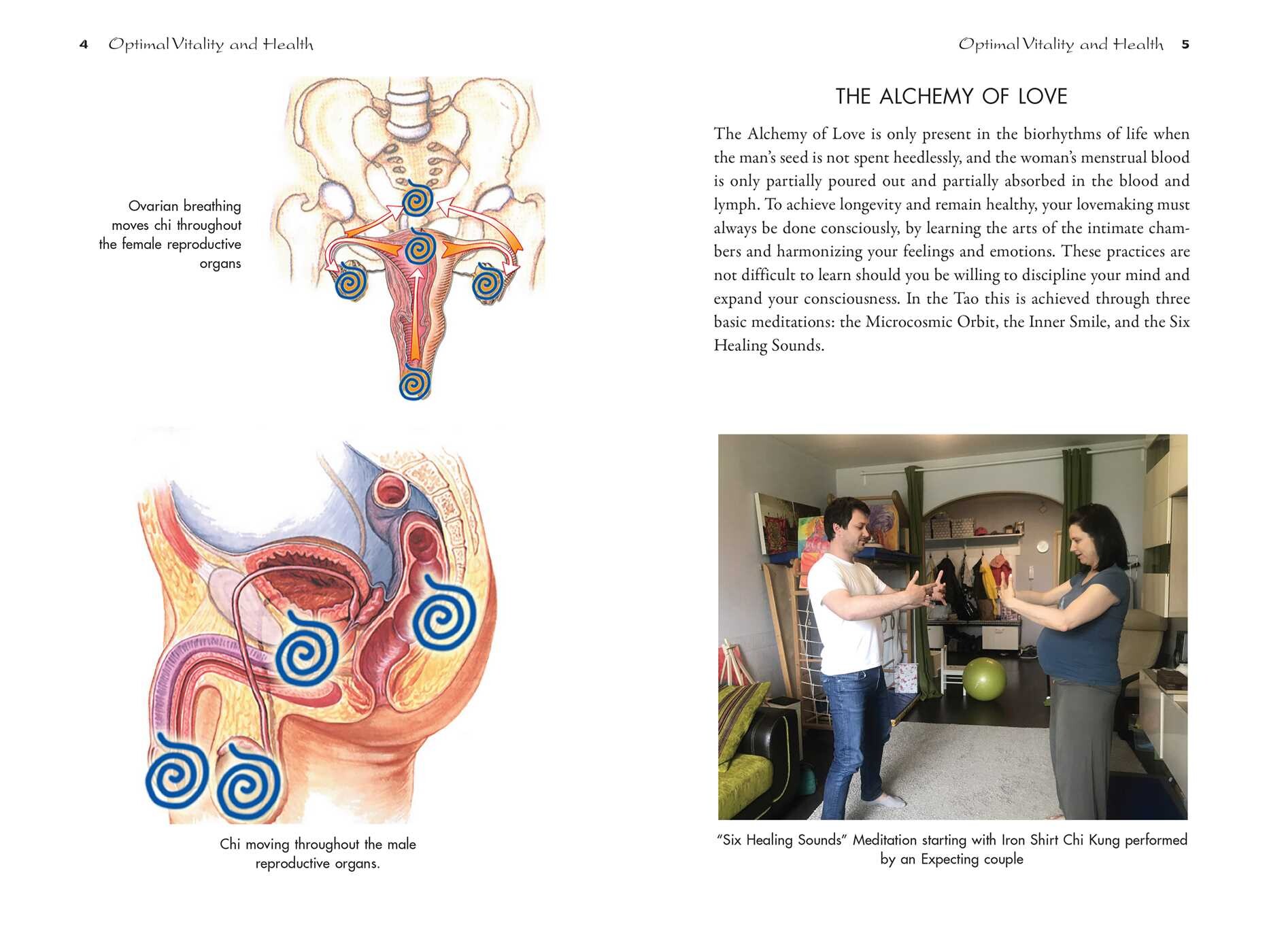 Taoist Secrets of Pregnancy, Birth, and Healing Love