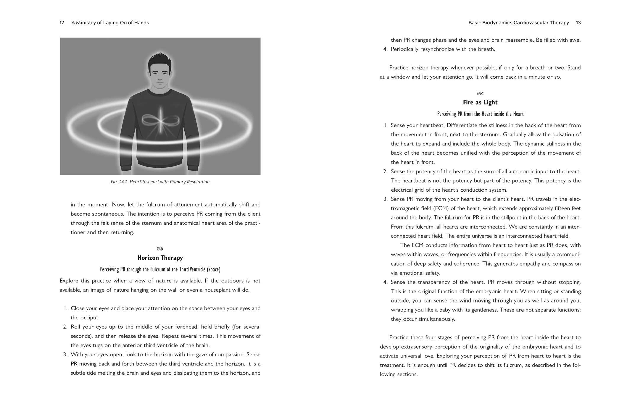 Biodynamic Heart