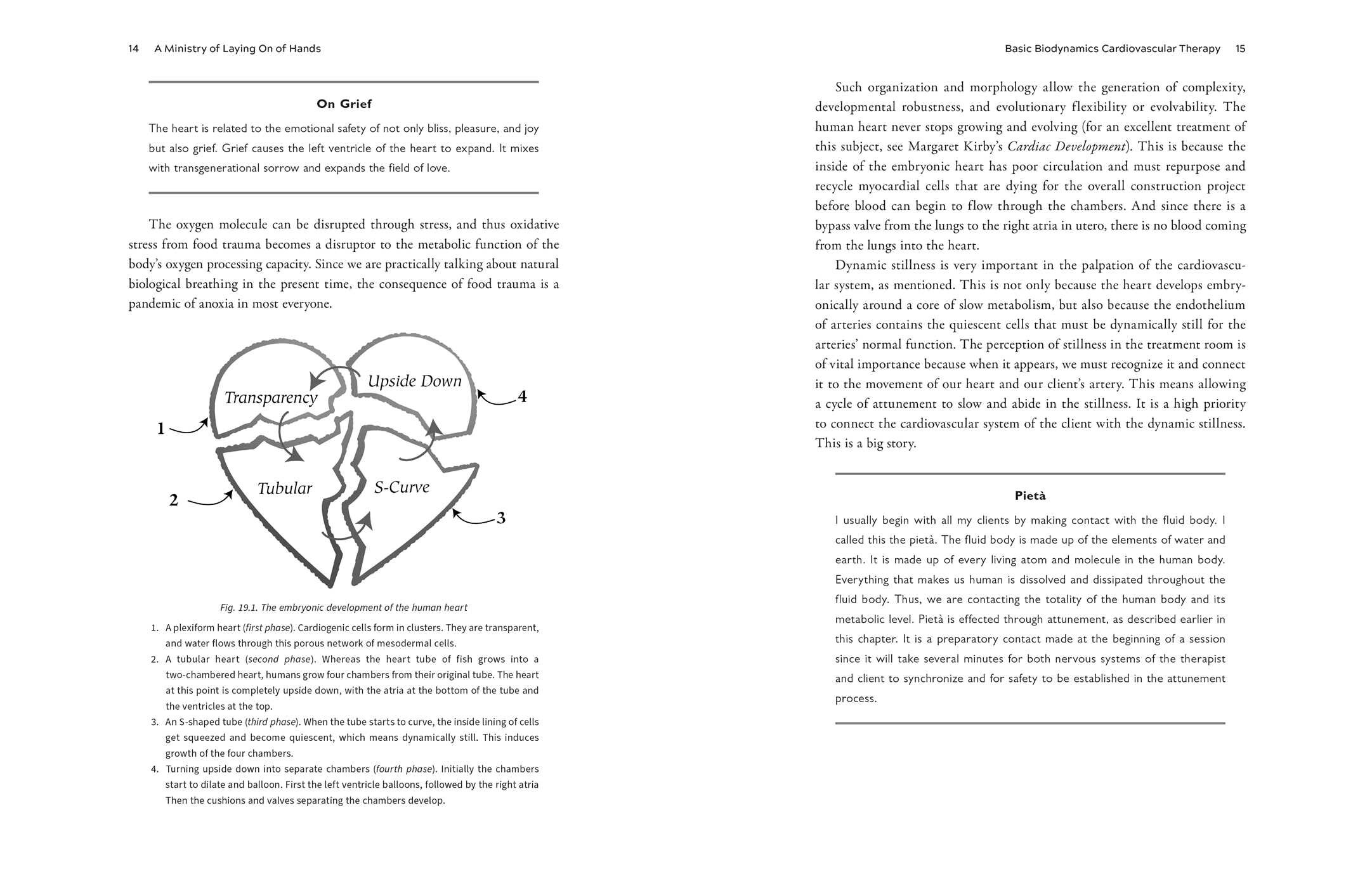 Biodynamic Heart