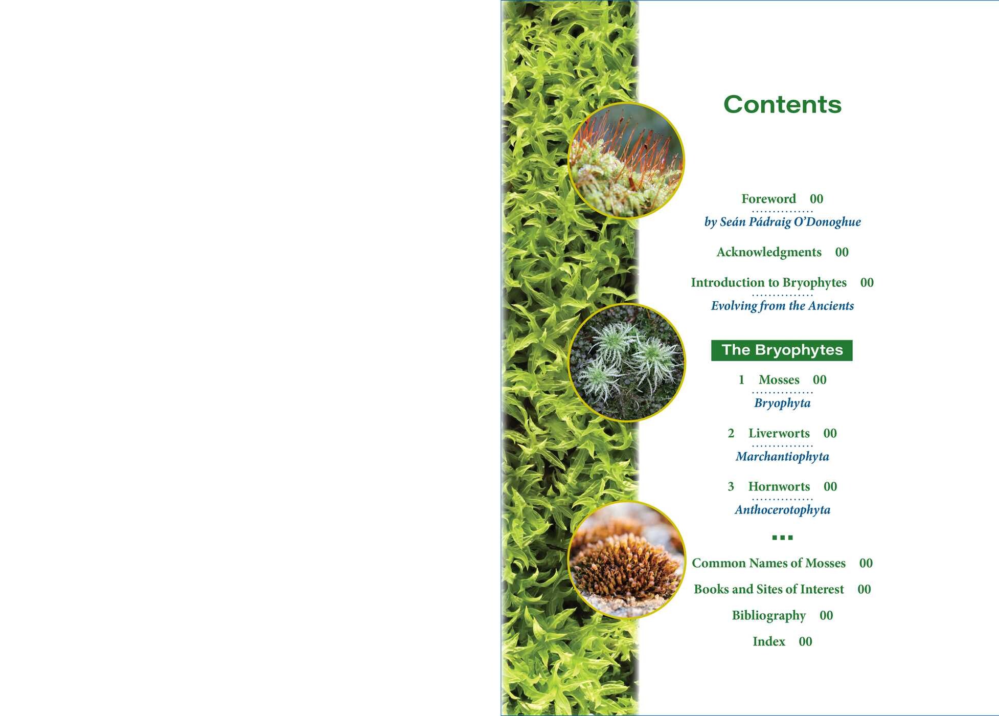 Moss Medicine
