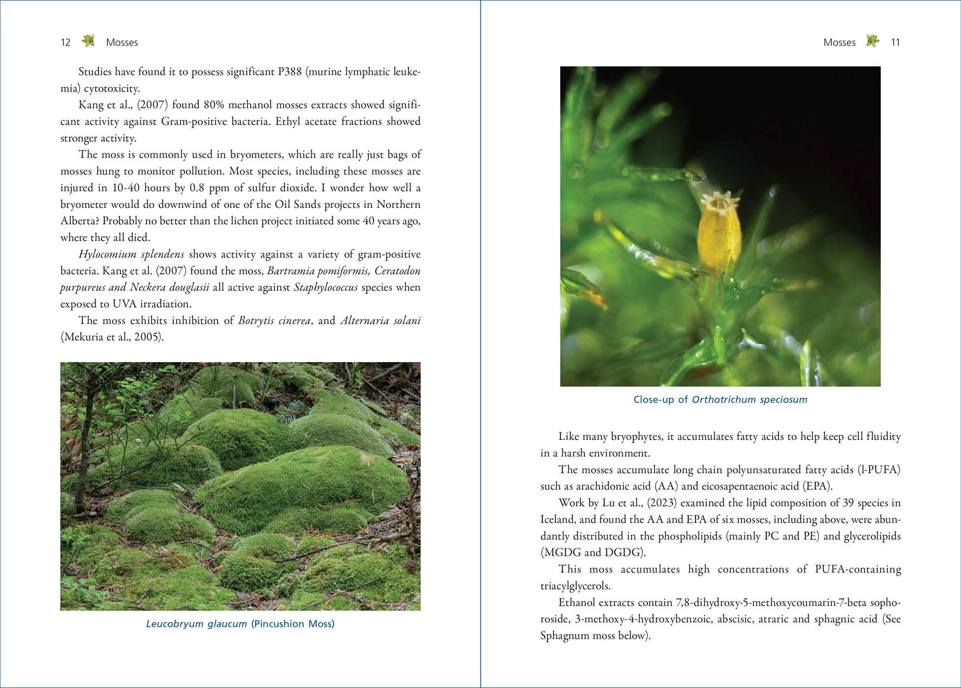 Moss Medicine