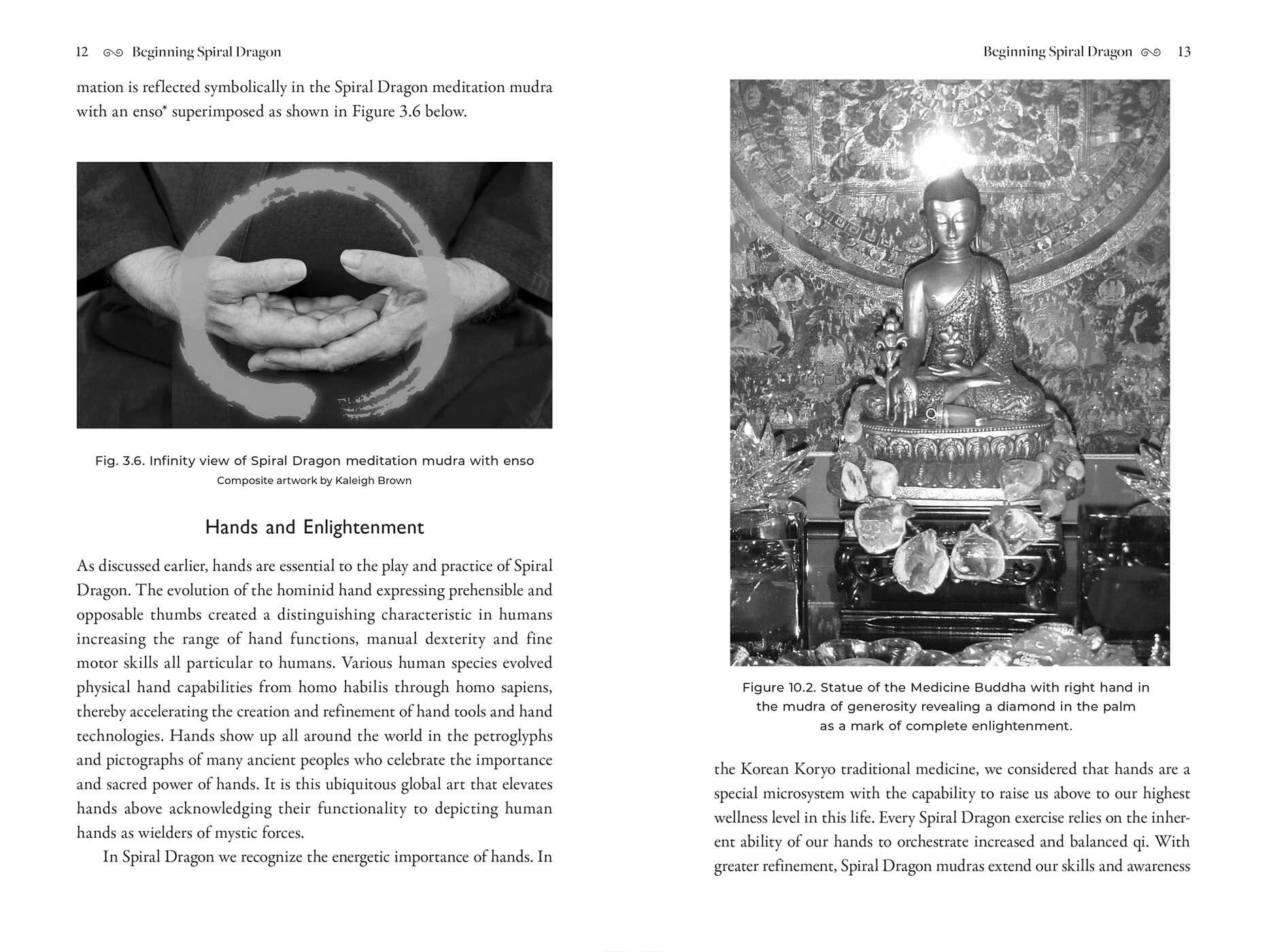 Spiral Dragon Dharma Gate