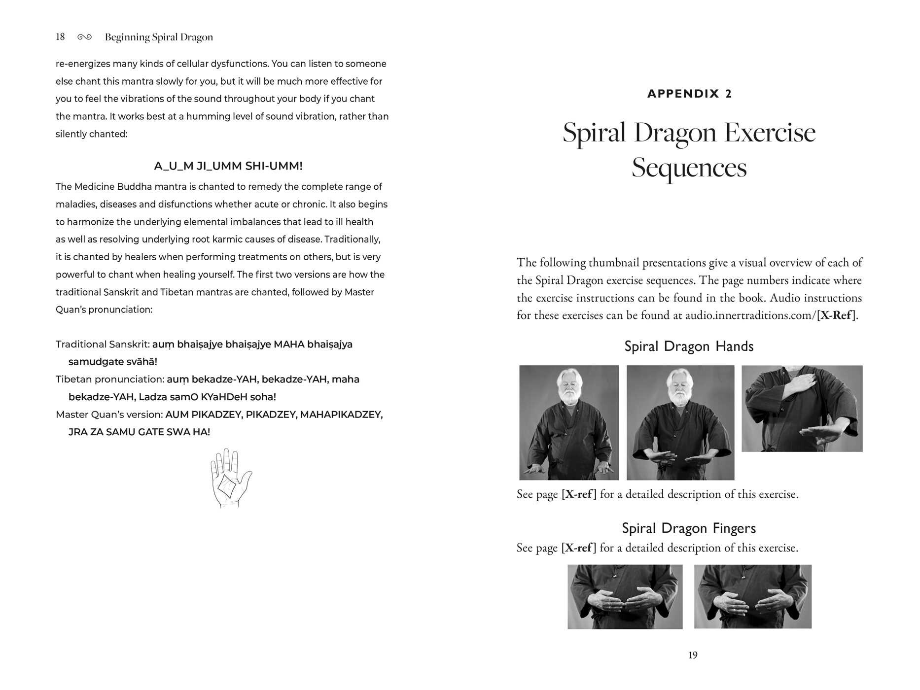 Spiral Dragon Dharma Gate