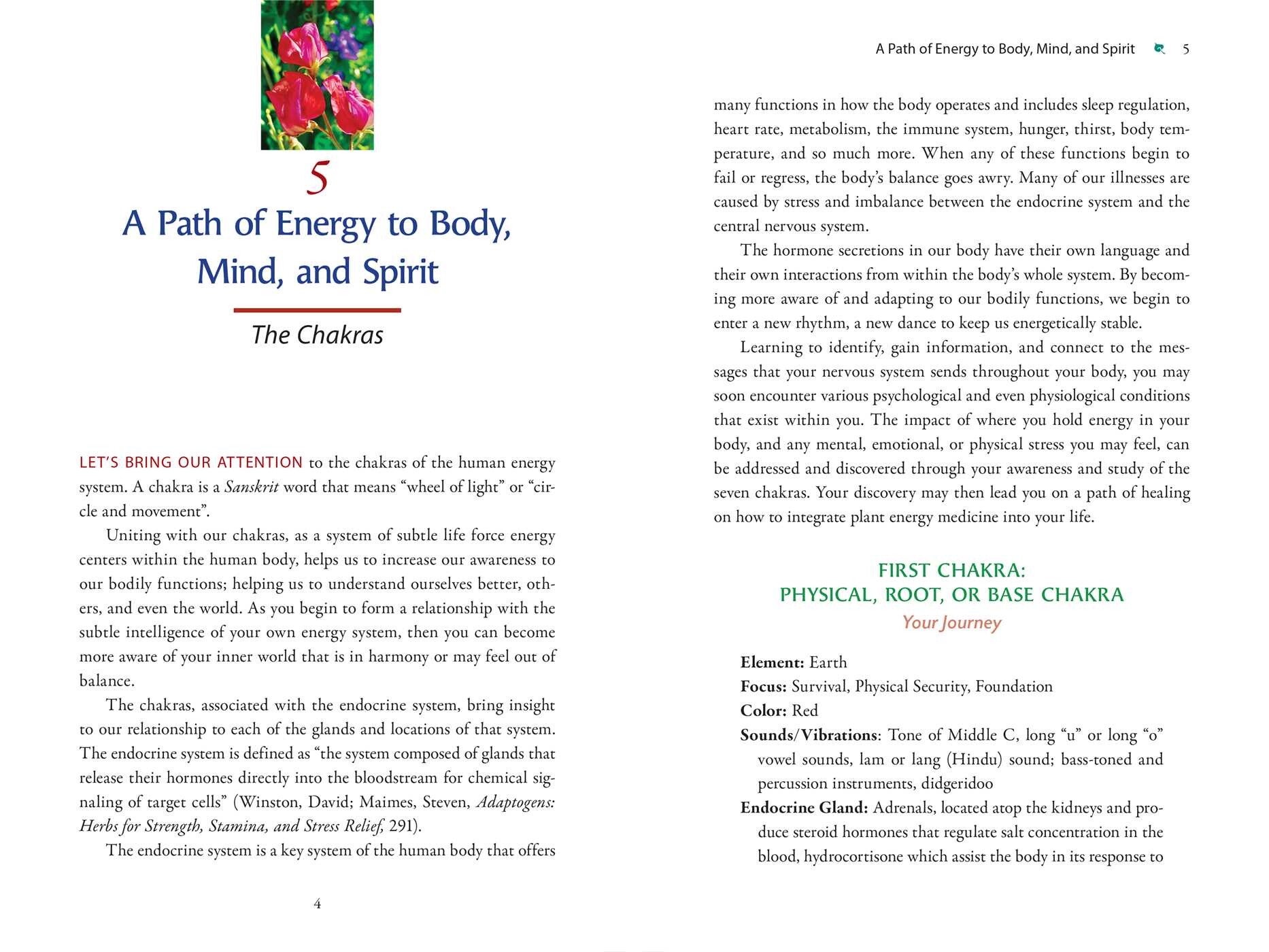 Plant Energy Medicine