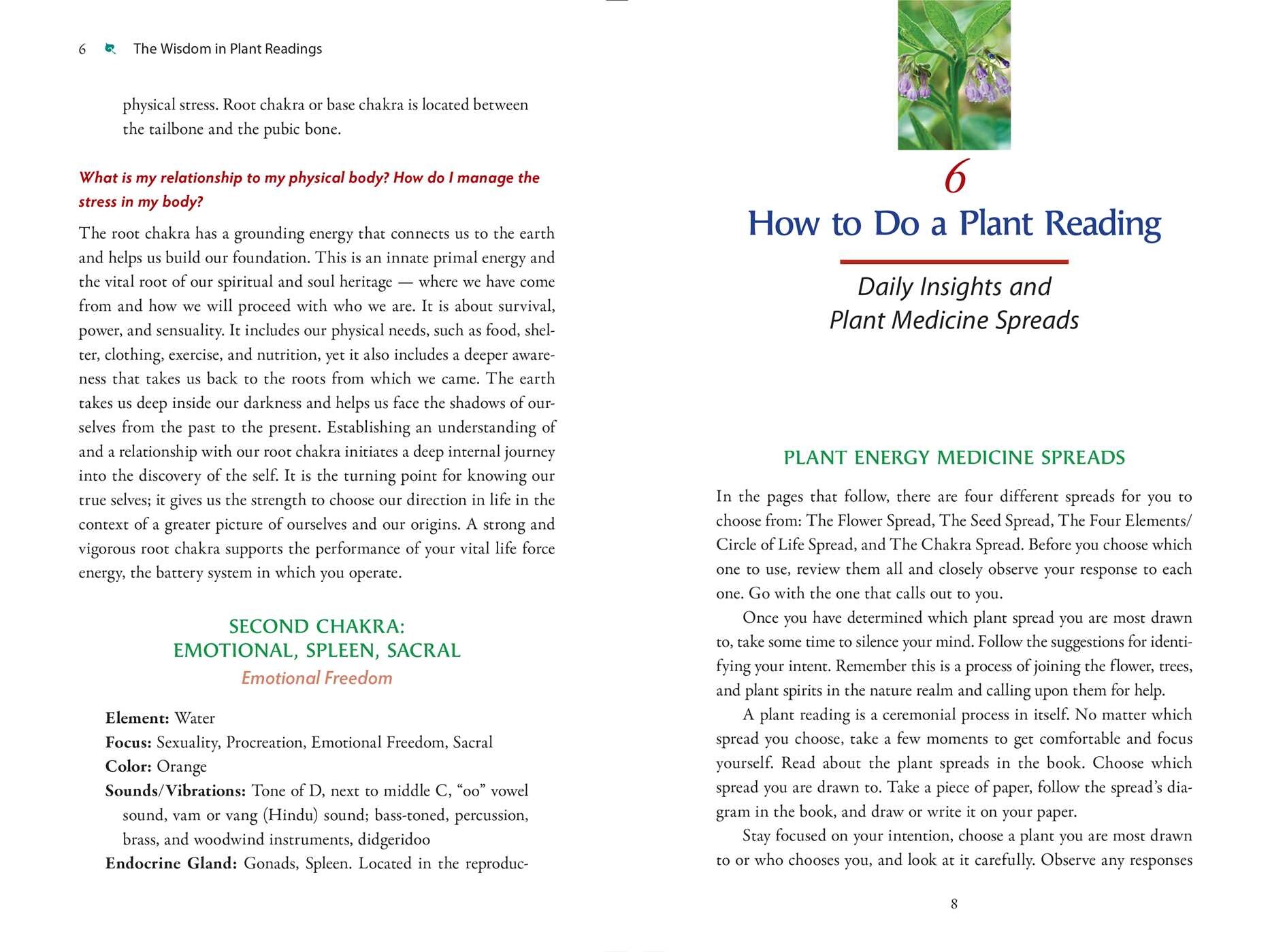 Plant Energy Medicine