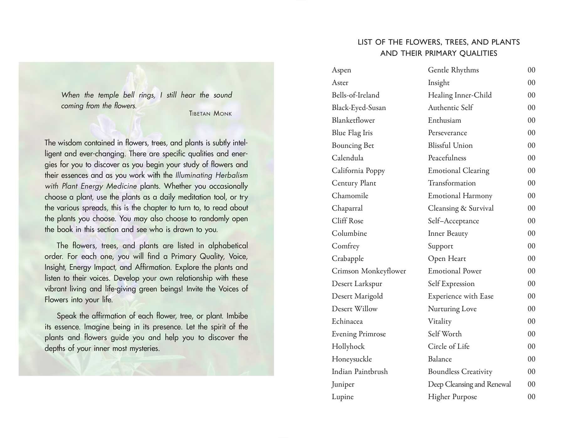 Plant Energy Medicine