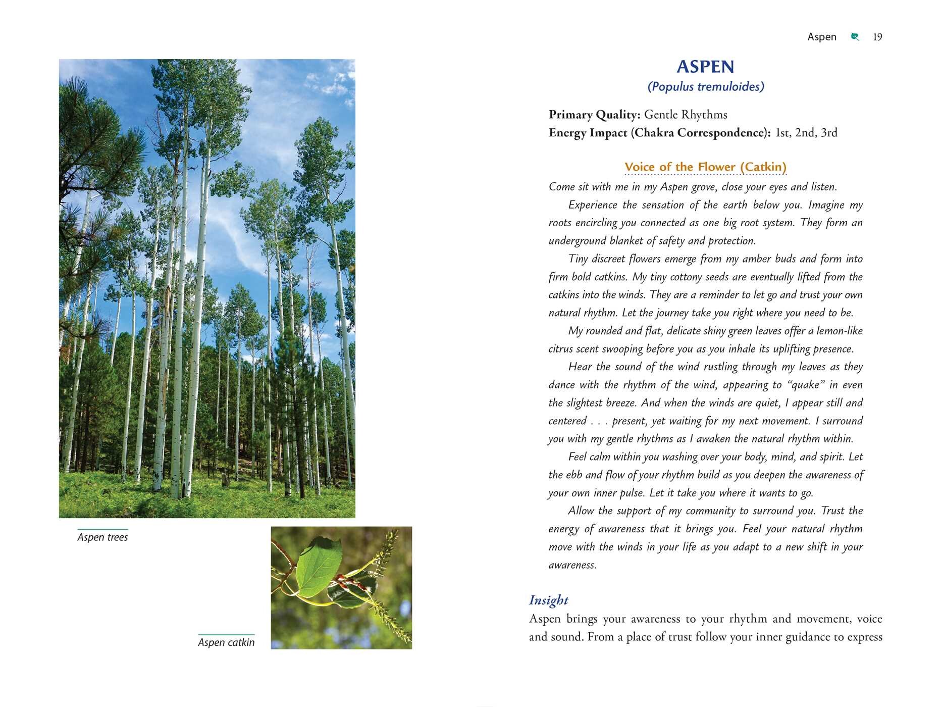 Plant Energy Medicine