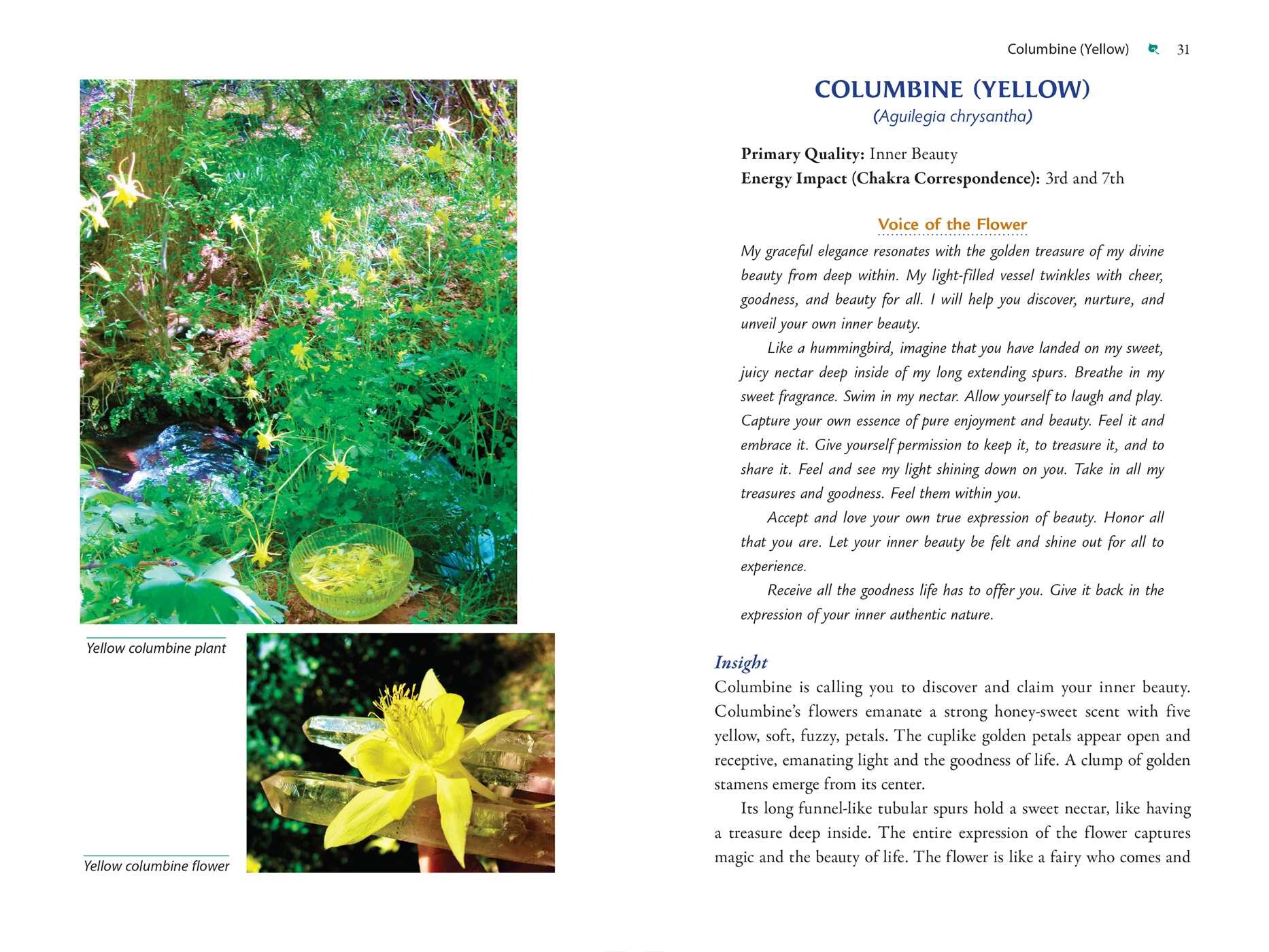 Plant Energy Medicine