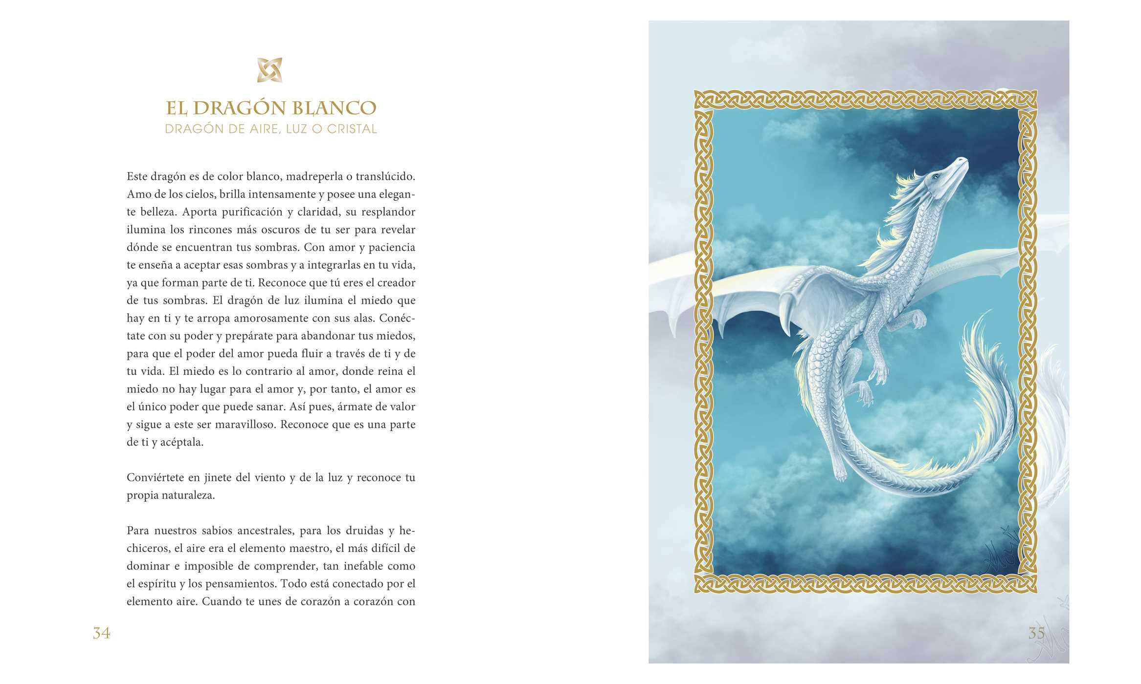 pequeño libro de los dragones
