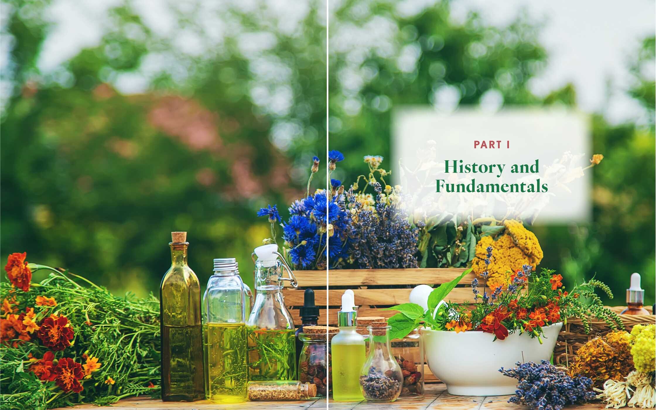 Advanced Flower Essence Healing