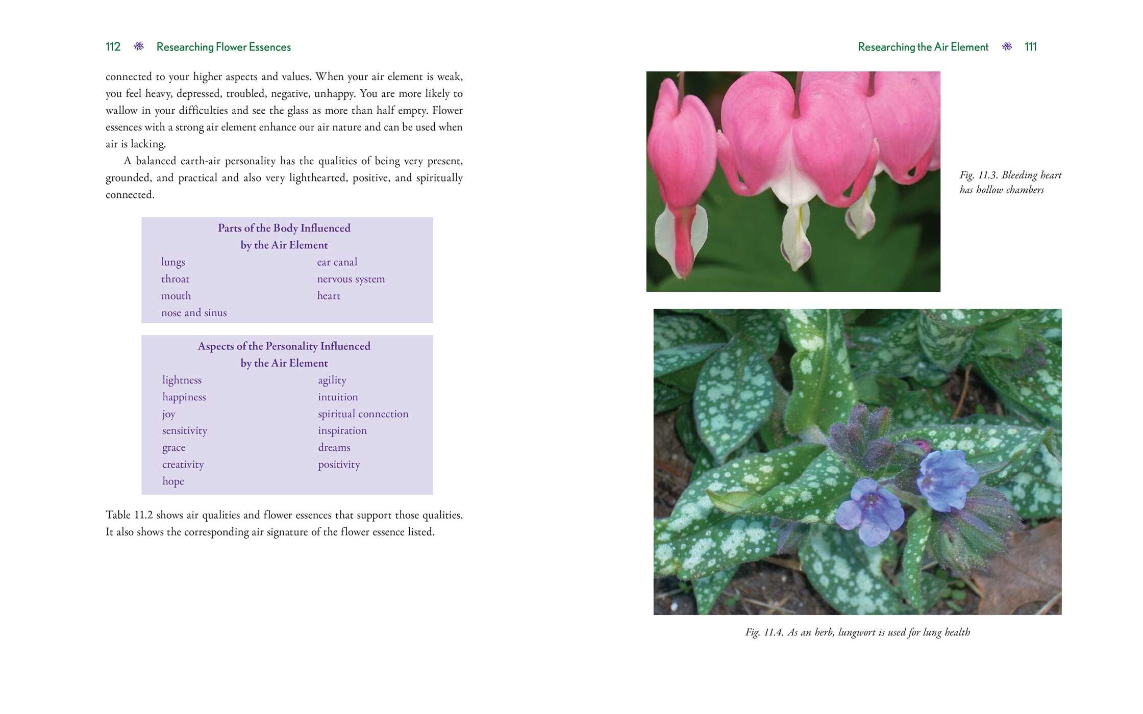 Advanced Flower Essence Healing